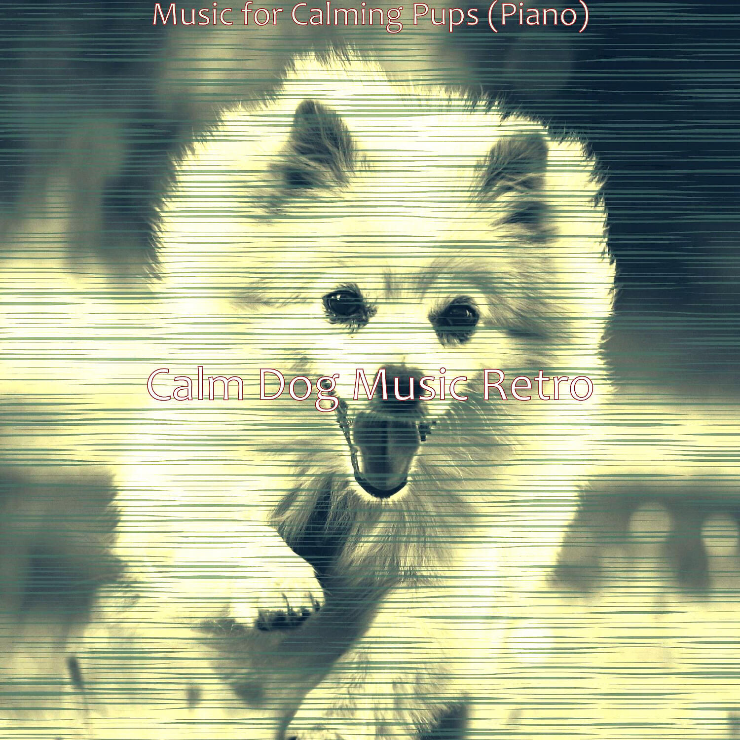 Calm Dog Music Retro - Amazing Moods for Calming Pups