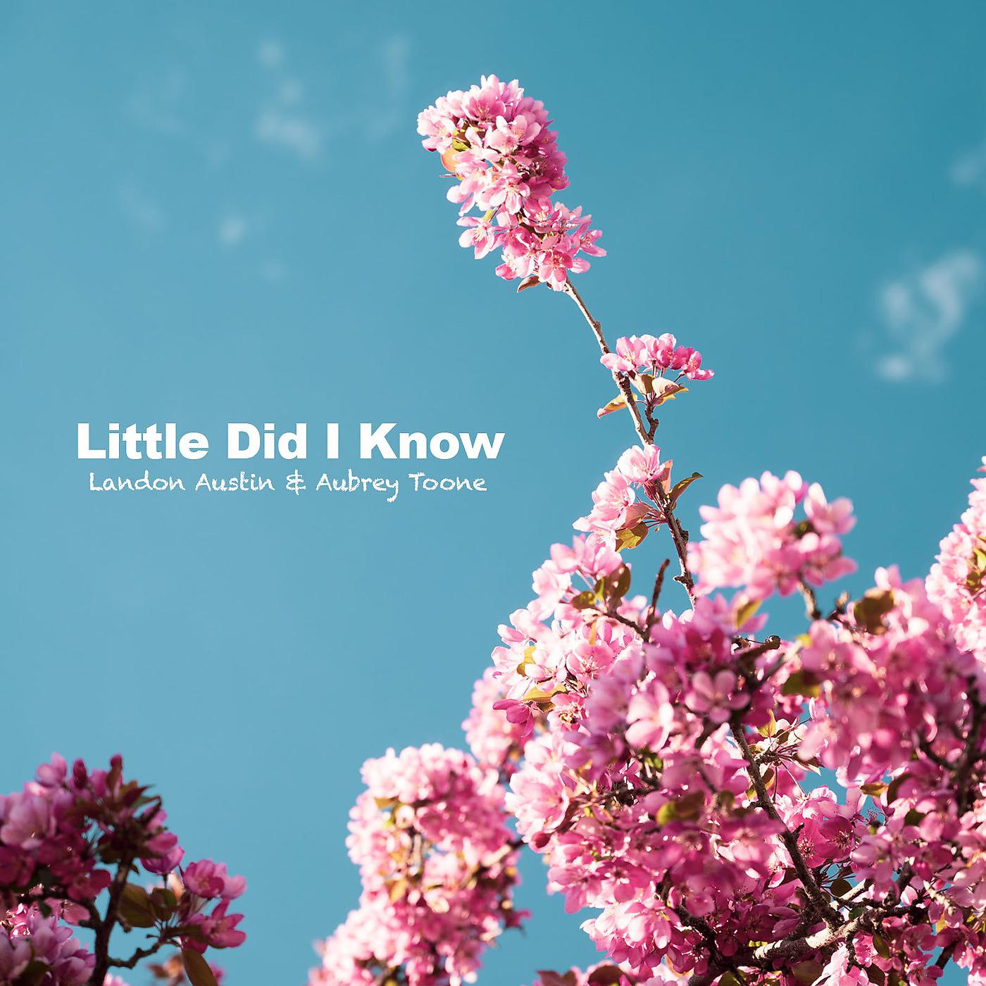 Постер альбома Little Did I Know (Acoustic)