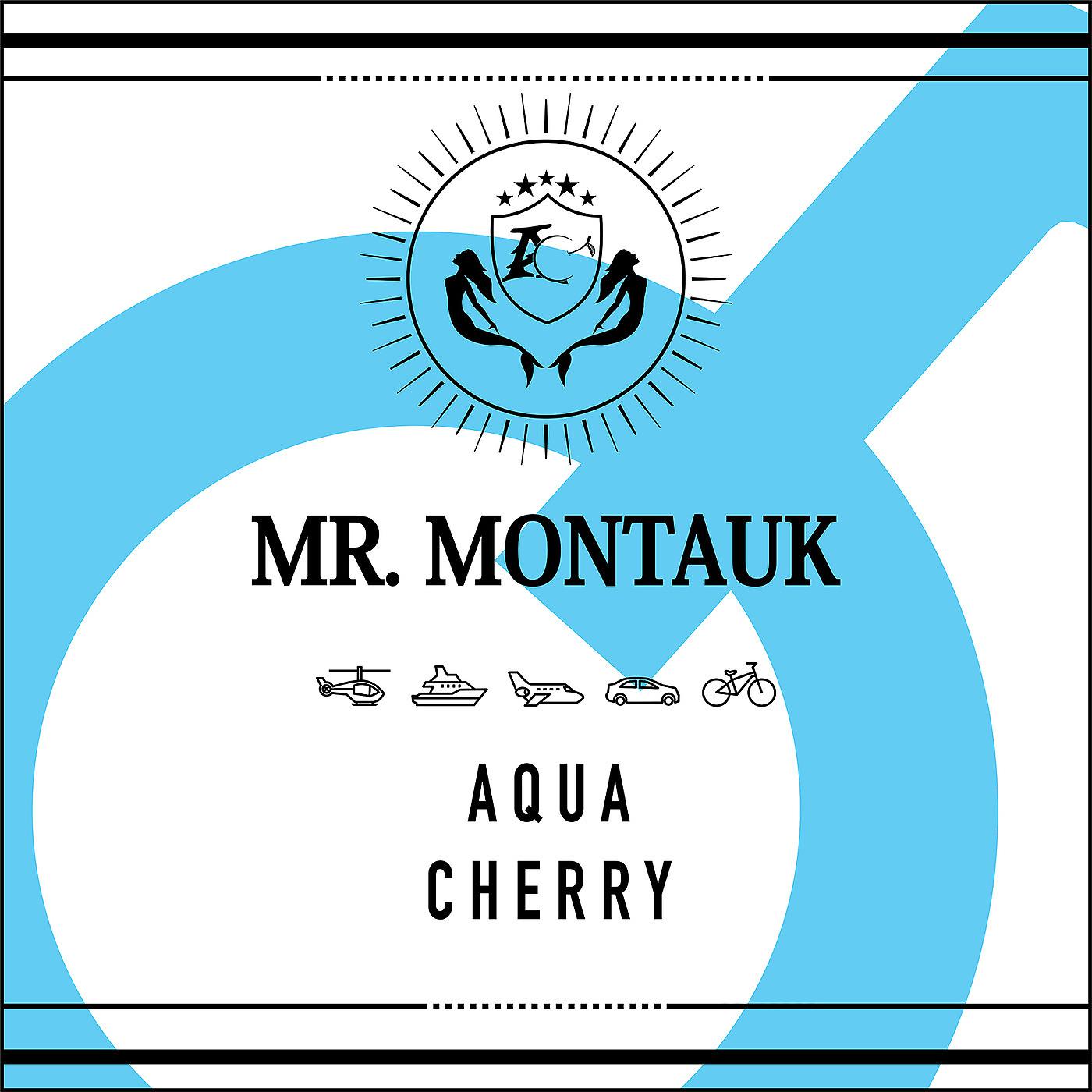 Постер альбома Mr Montauk