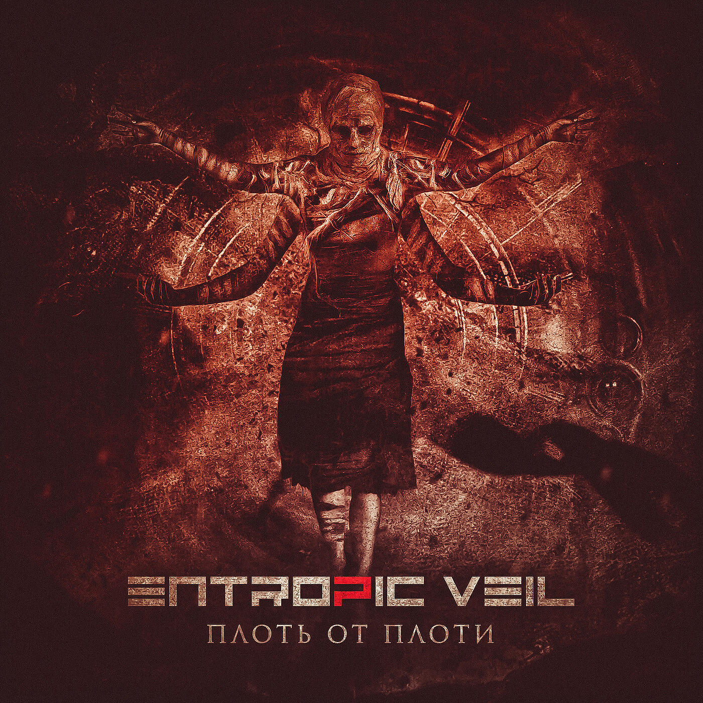 Entropic Veil - Плоть От Плоти