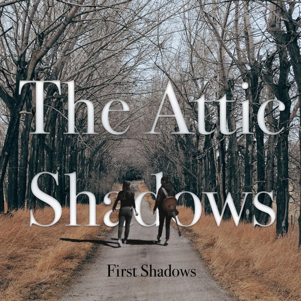 The Attic Shadows - Dangerous World