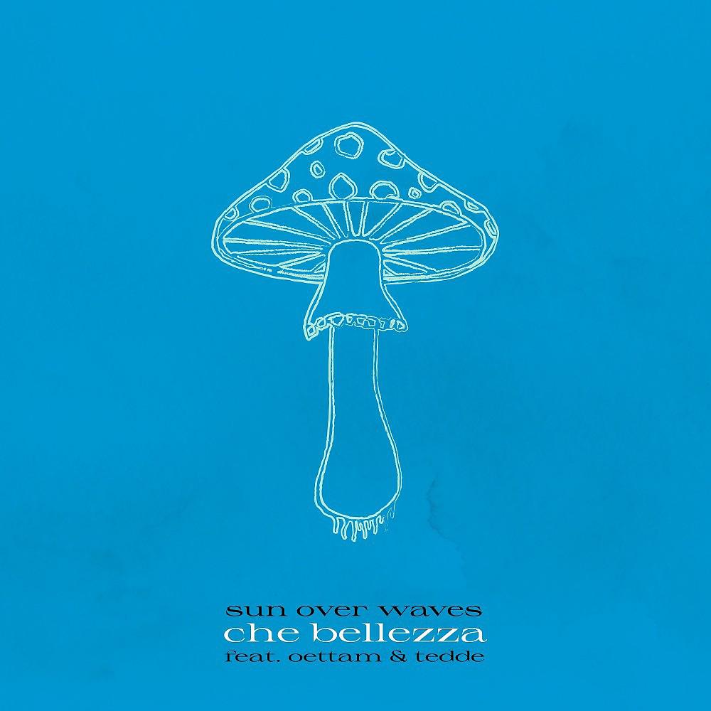 Постер альбома Che bellezza