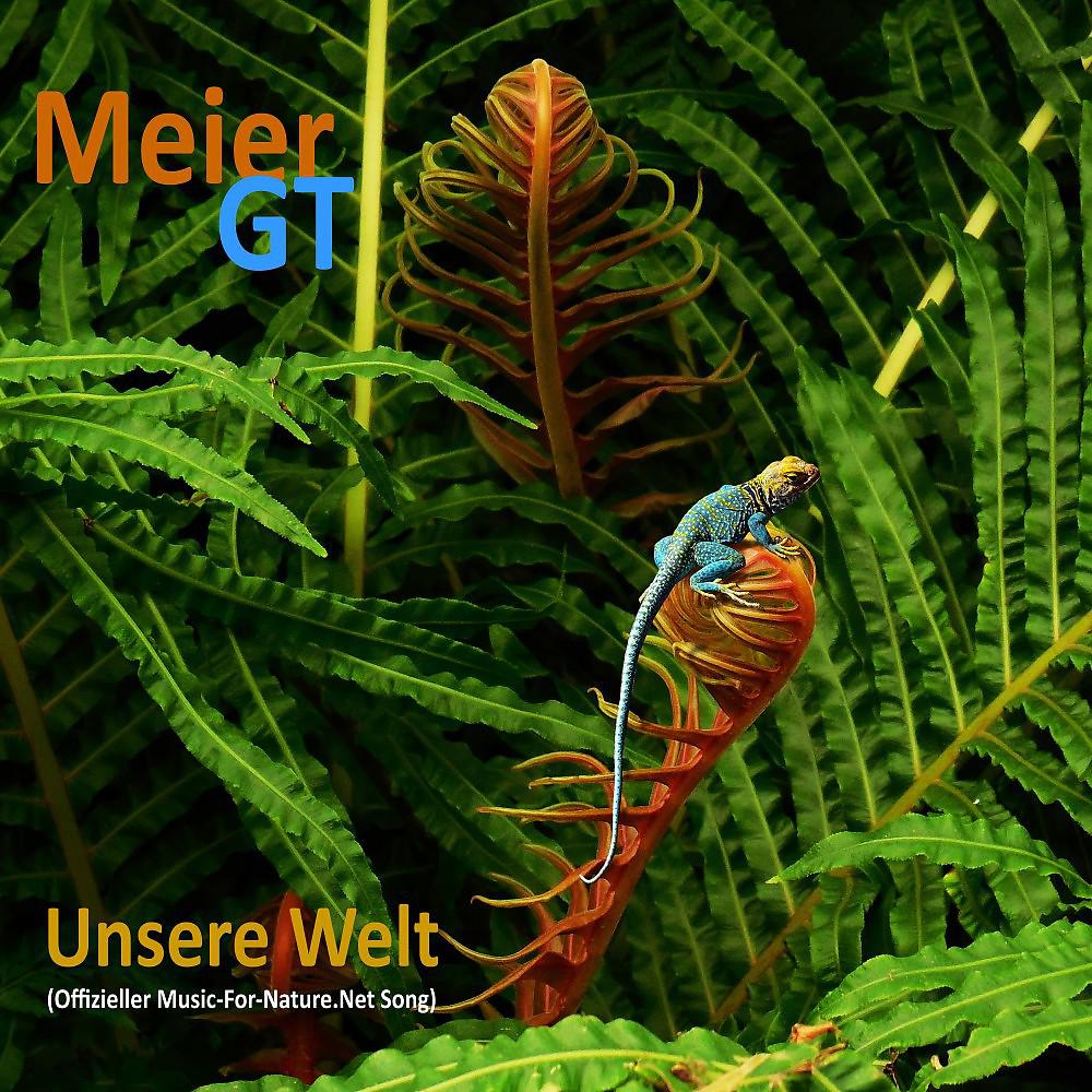 Постер альбома Unsere Welt (Offizieller Music-For-Nature.Net Song)