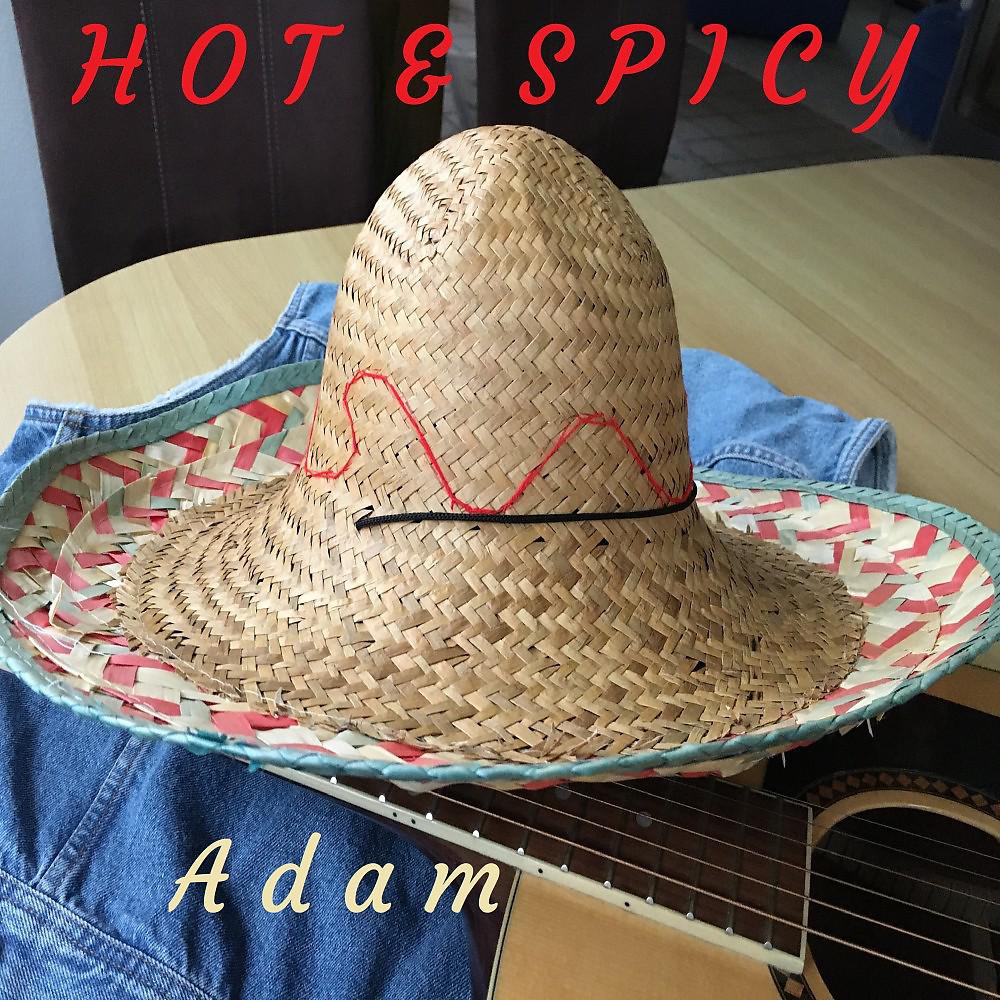 Постер альбома Hot & Spicy