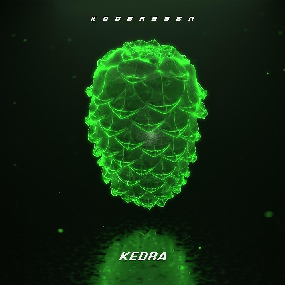 Постер альбома Kedra