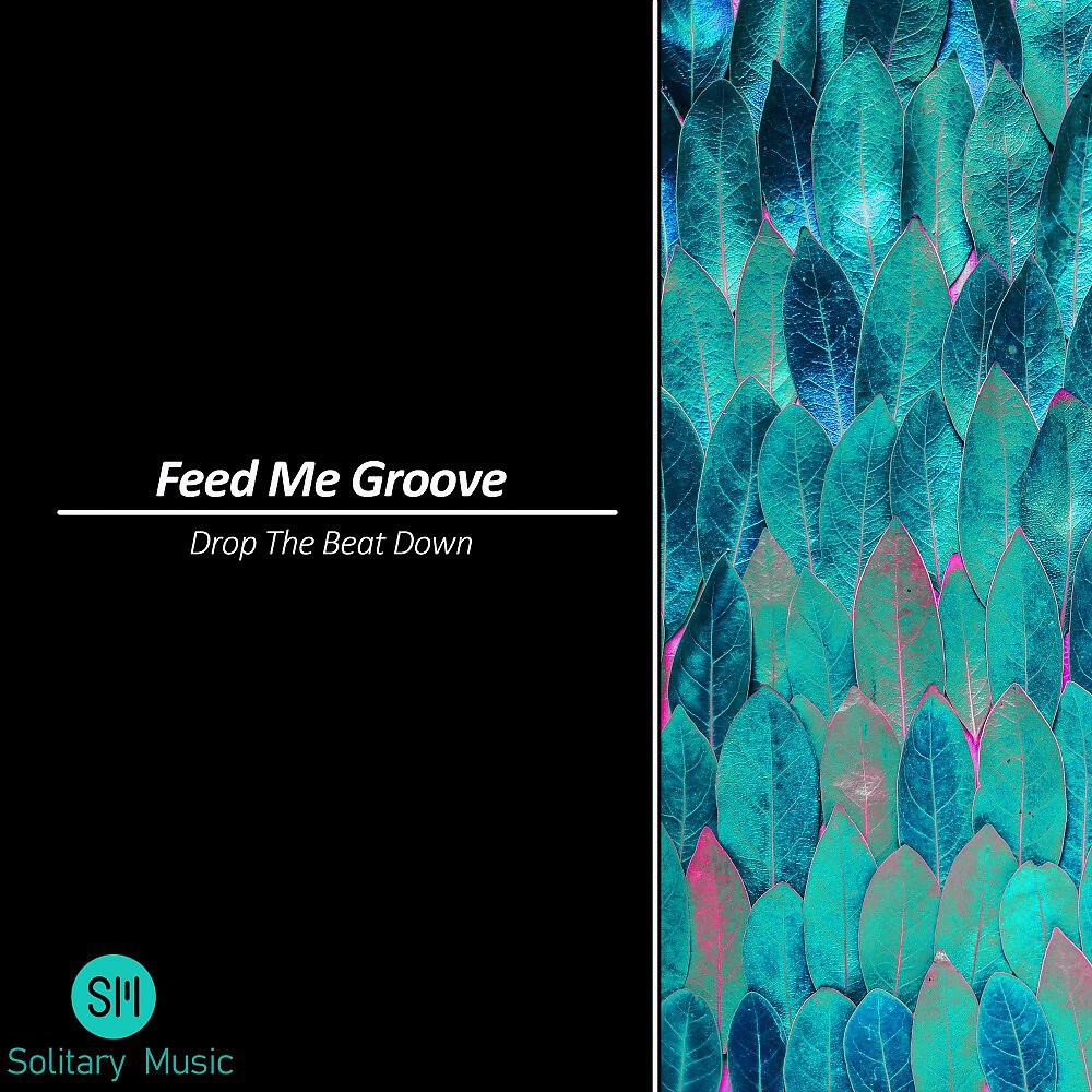 Feed Me Groove - Drop the Beat Down (Thomas Mitchell Radio Edit)