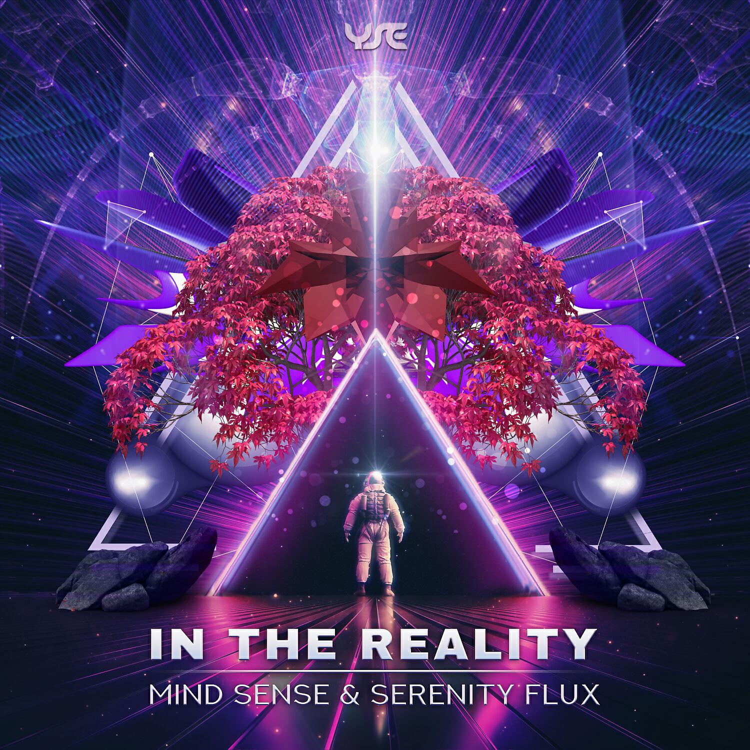 Mind Sense - In the Reality (Original Mix)