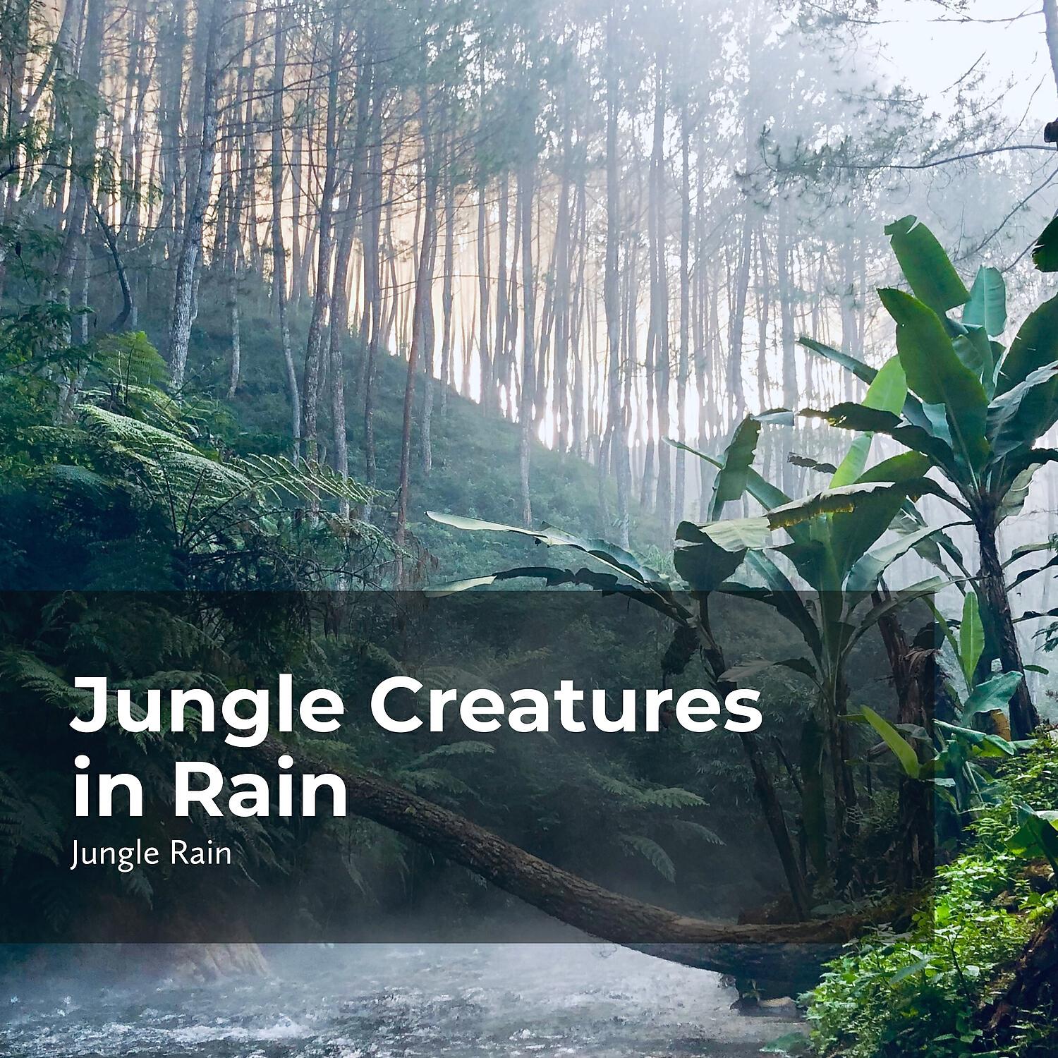 Deep Rain Sampling - Rainfall in the Jungle