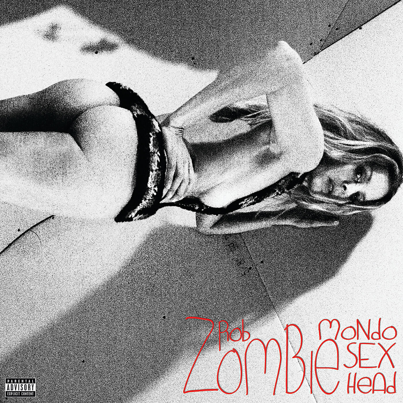 Rob Zombie - Burn (The Bloody Beetroots Motherfucker Remix)