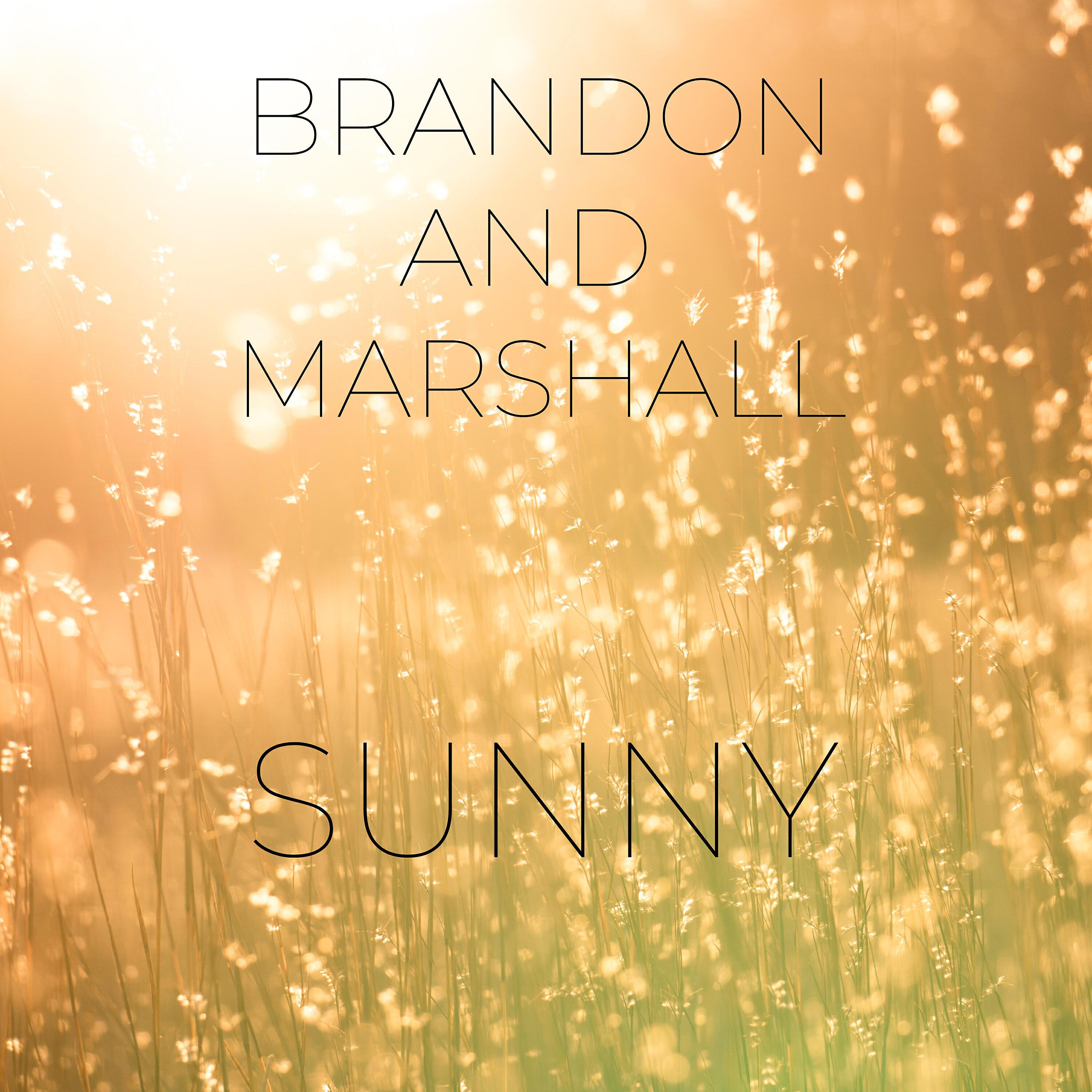 BRANDON - Sunny
