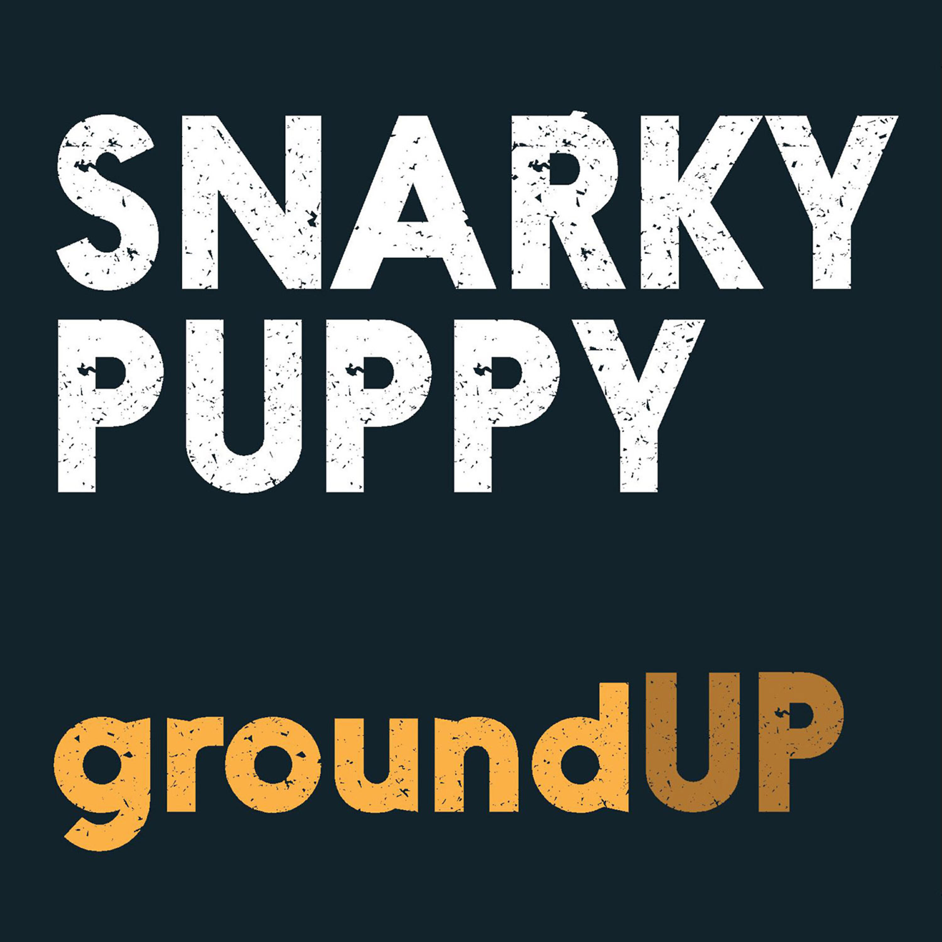 Snarky Puppy - Binky