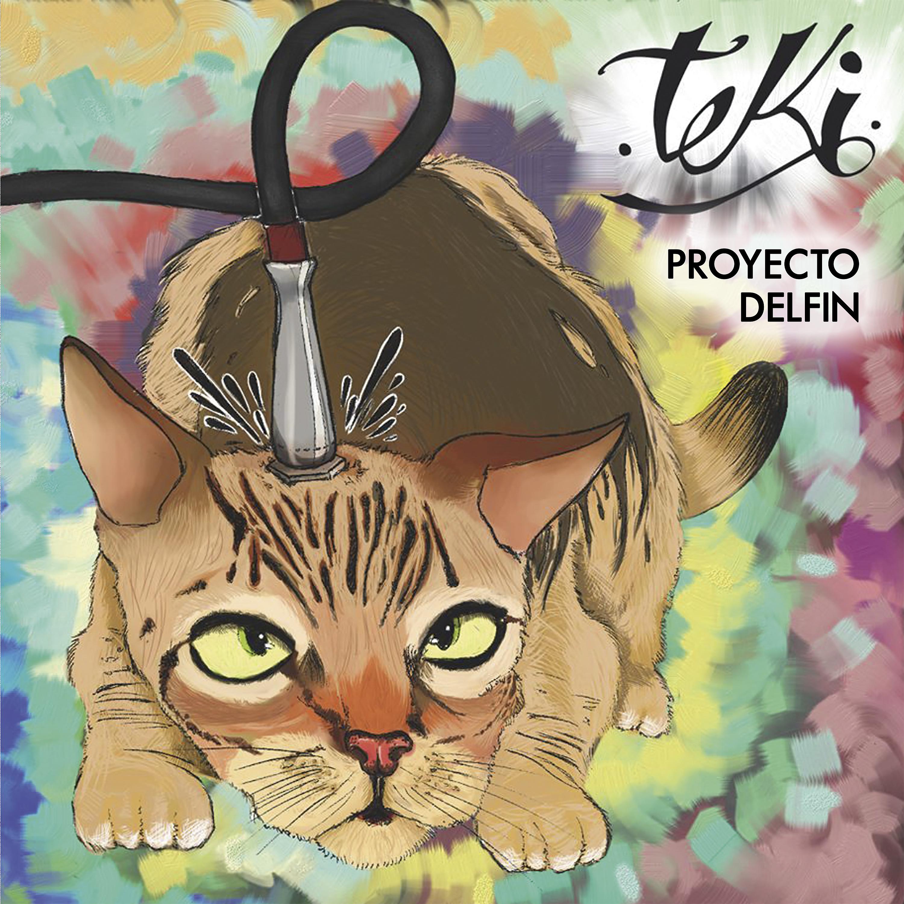 Постер альбома Teki