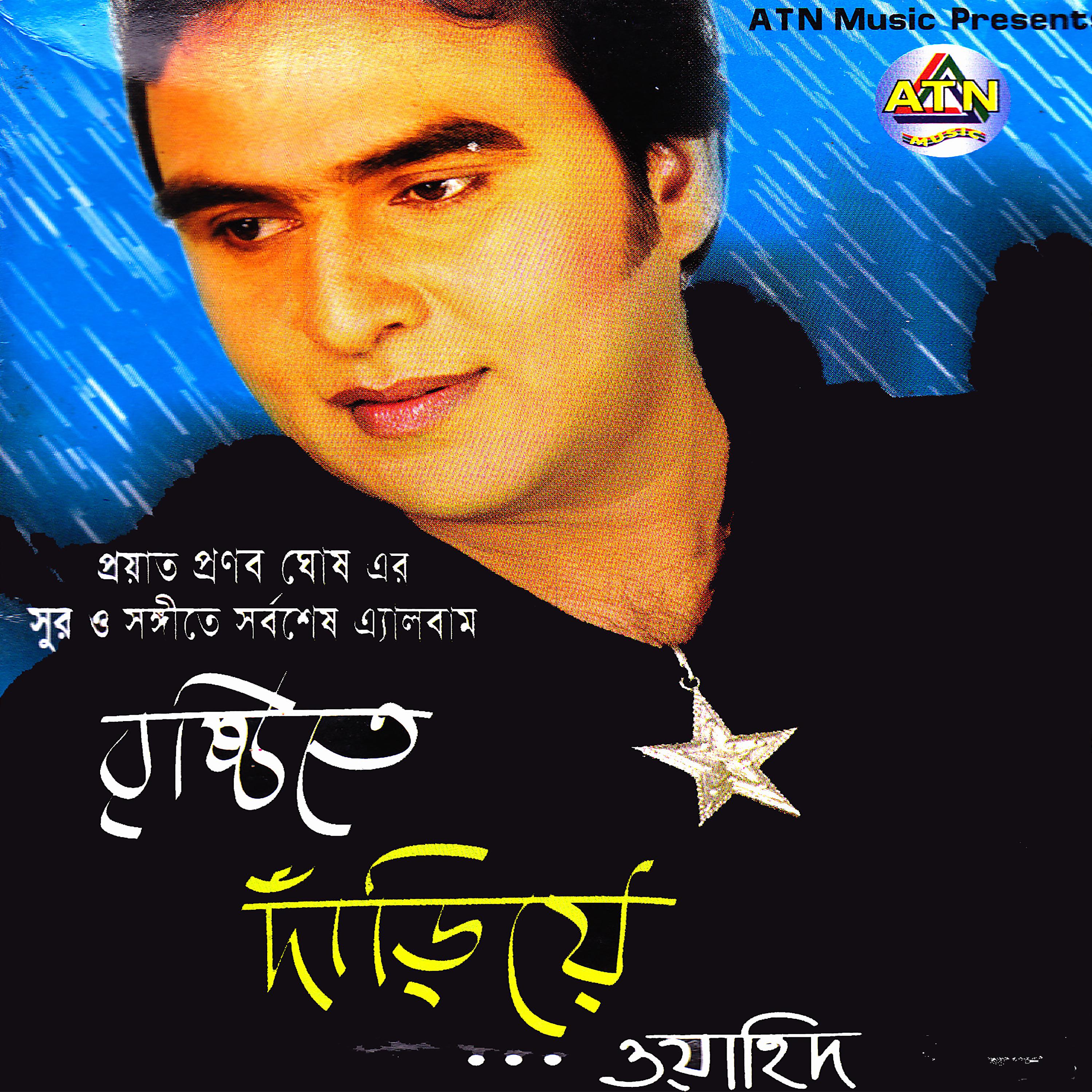 Постер альбома Brishtite Dariye