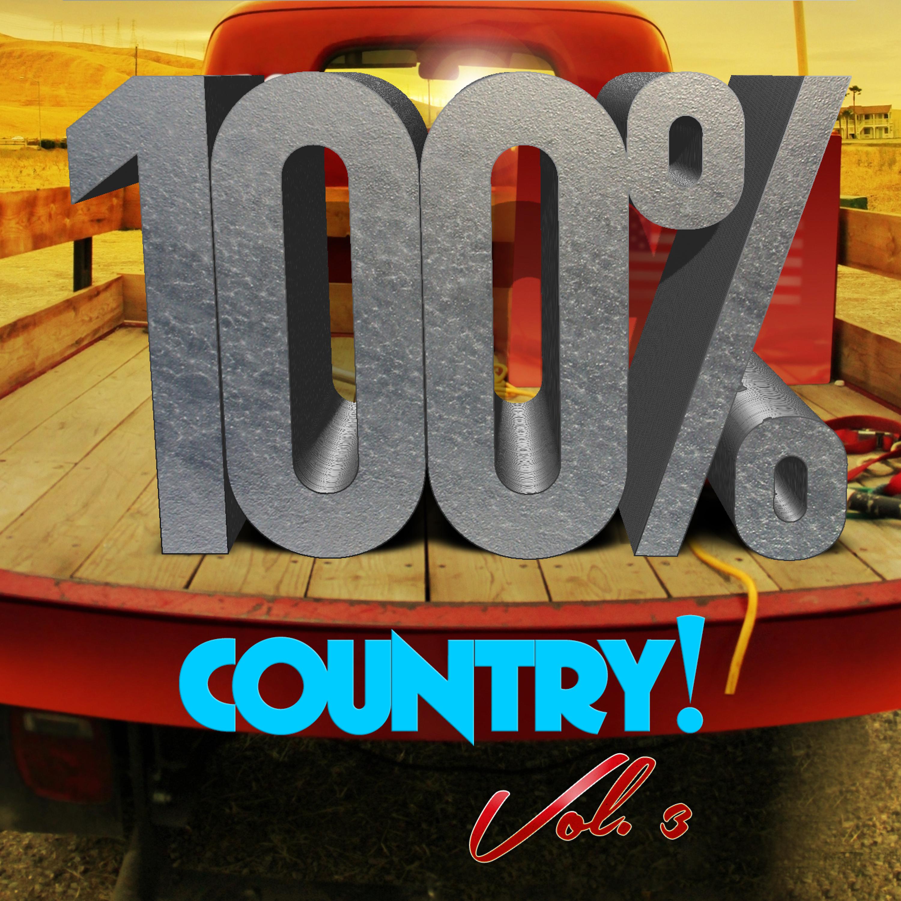 Постер альбома 100% Country, Vol. 3