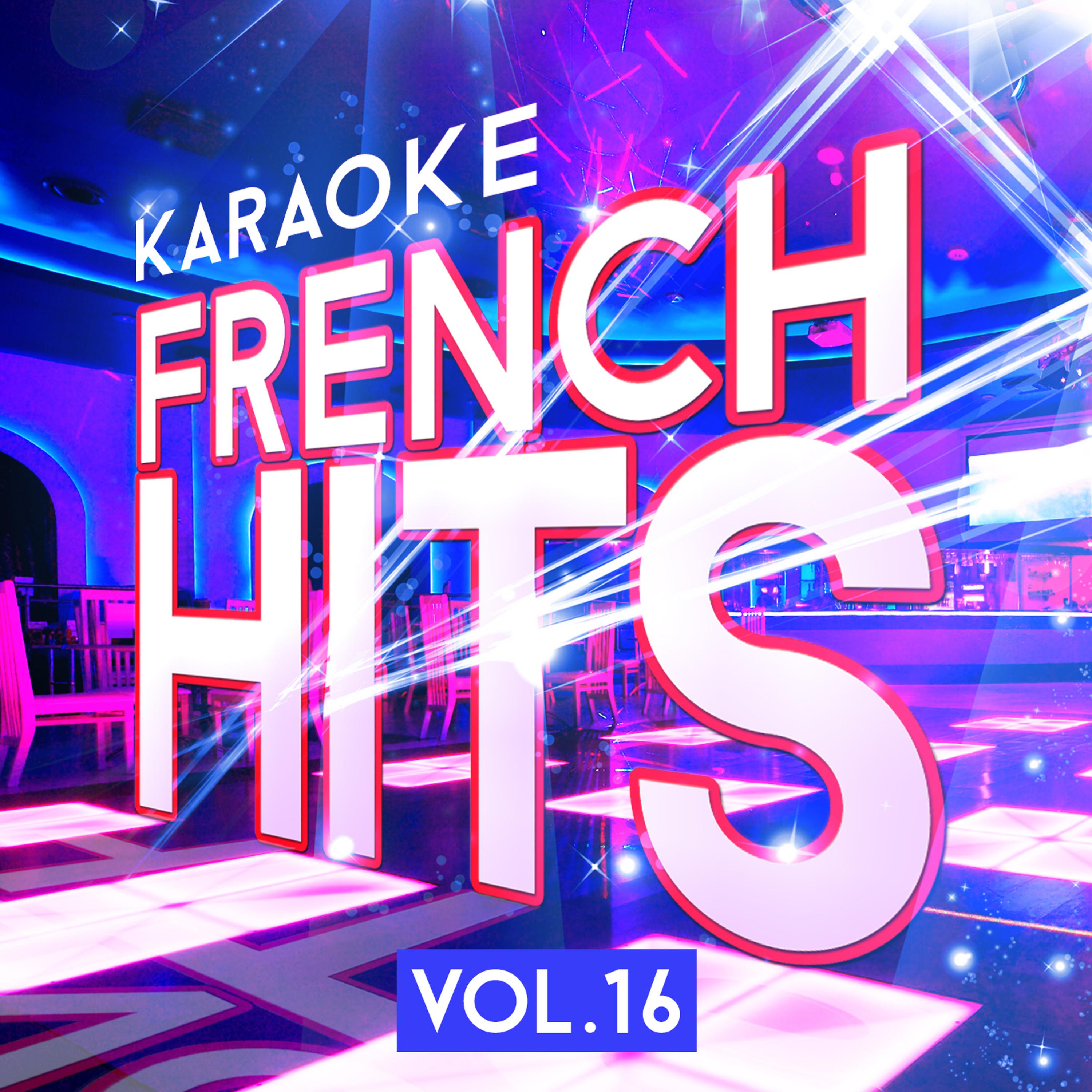 Постер альбома Karaoke - French Hits, Vol 16
