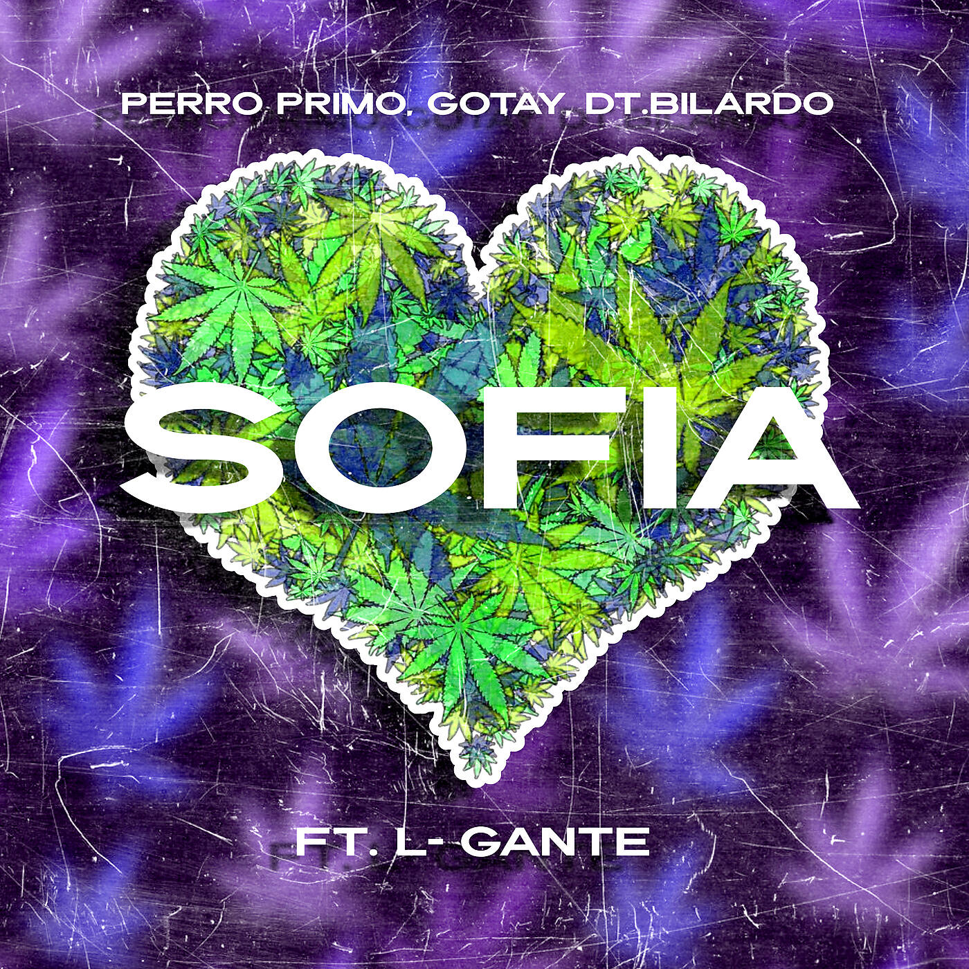 Perro Primo - SOFIA