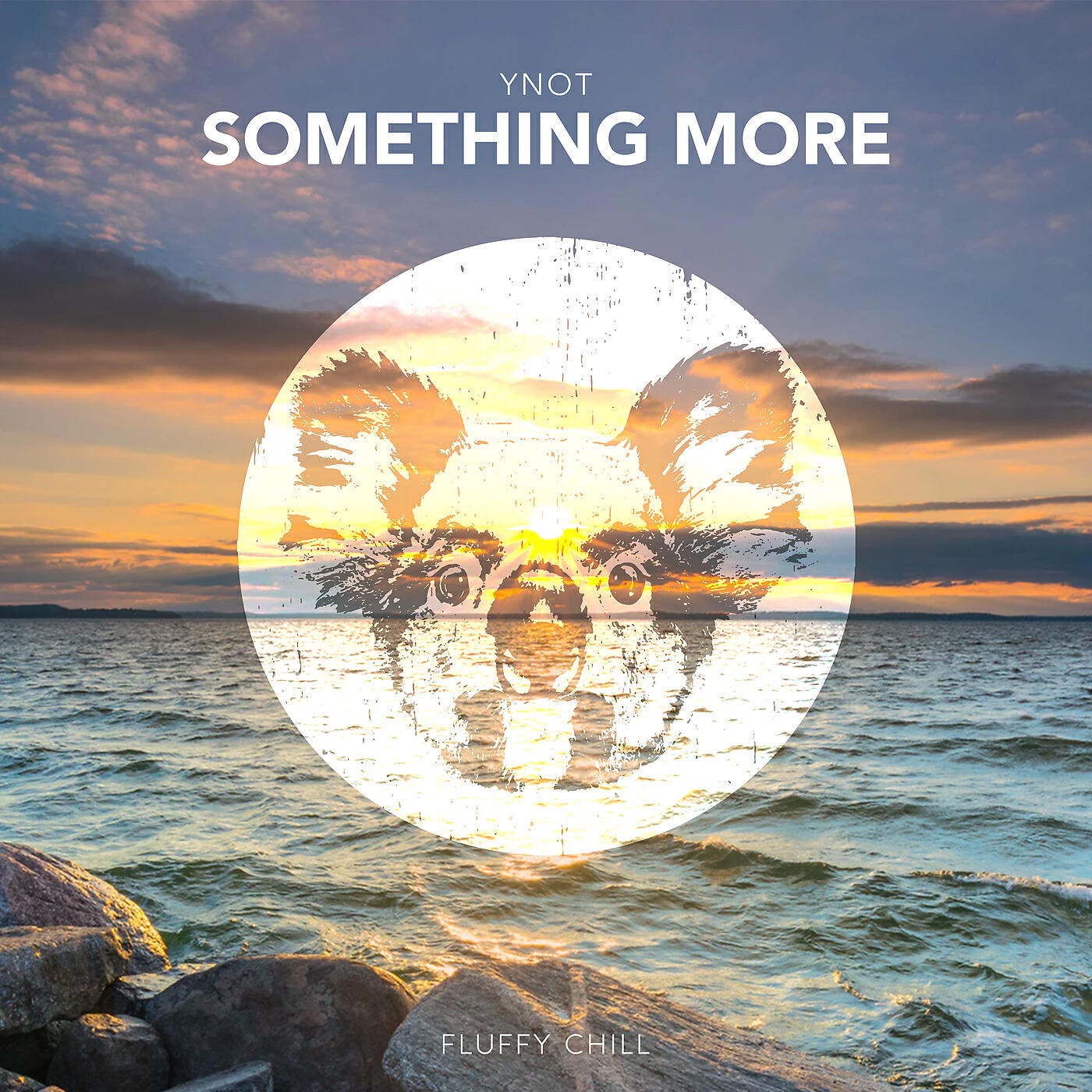 YNOT - Something More