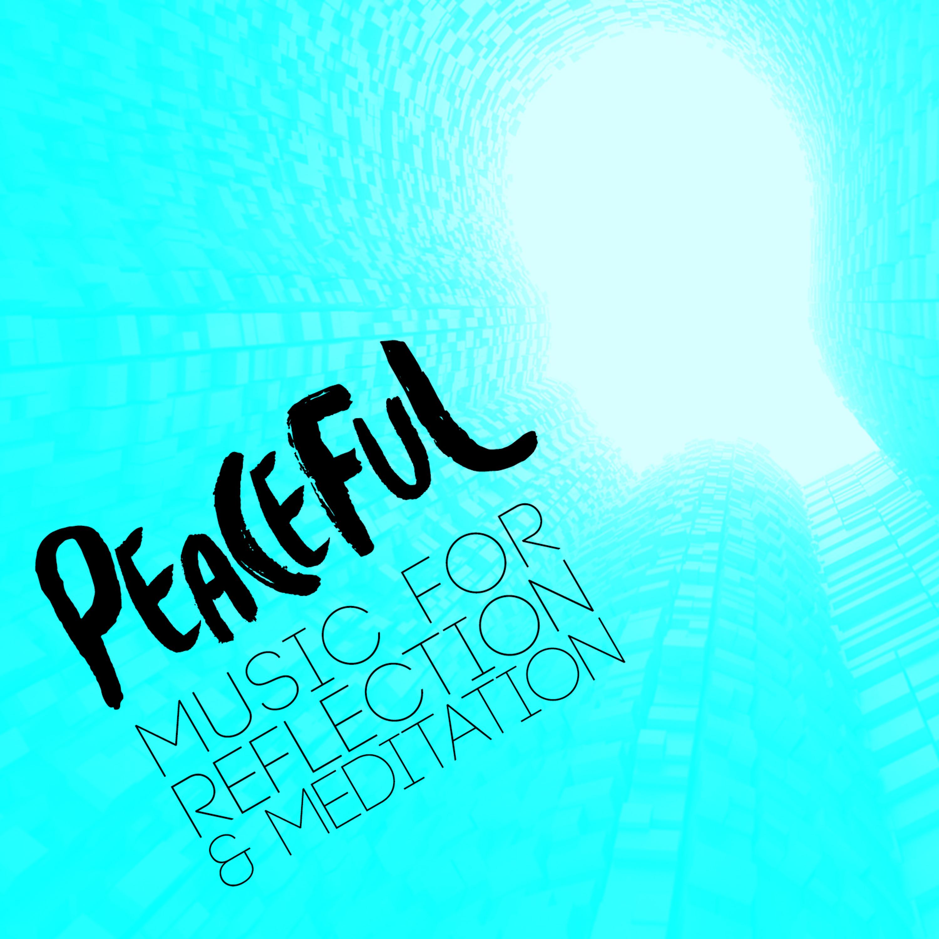 Постер альбома Peaceful Music for Reflection & Meditation