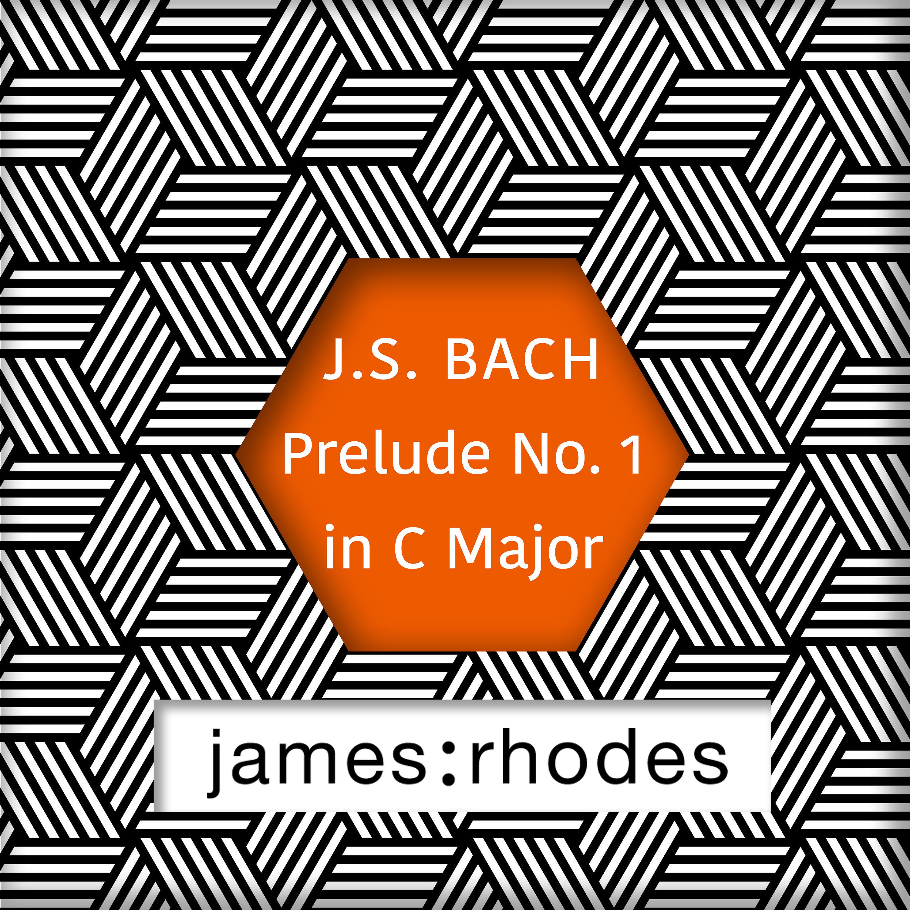 Постер альбома Bach: Prelude No. 1 in C Major / Puccini: O Mio Babbino Caro