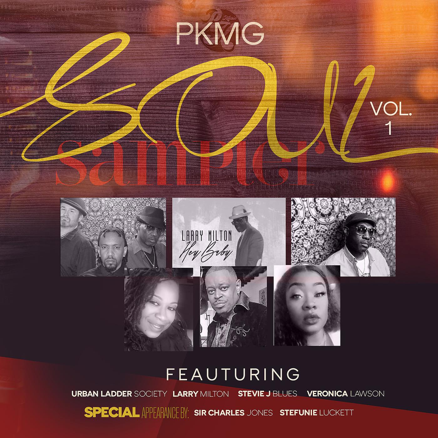 Постер альбома Pkmg Soul Sampler