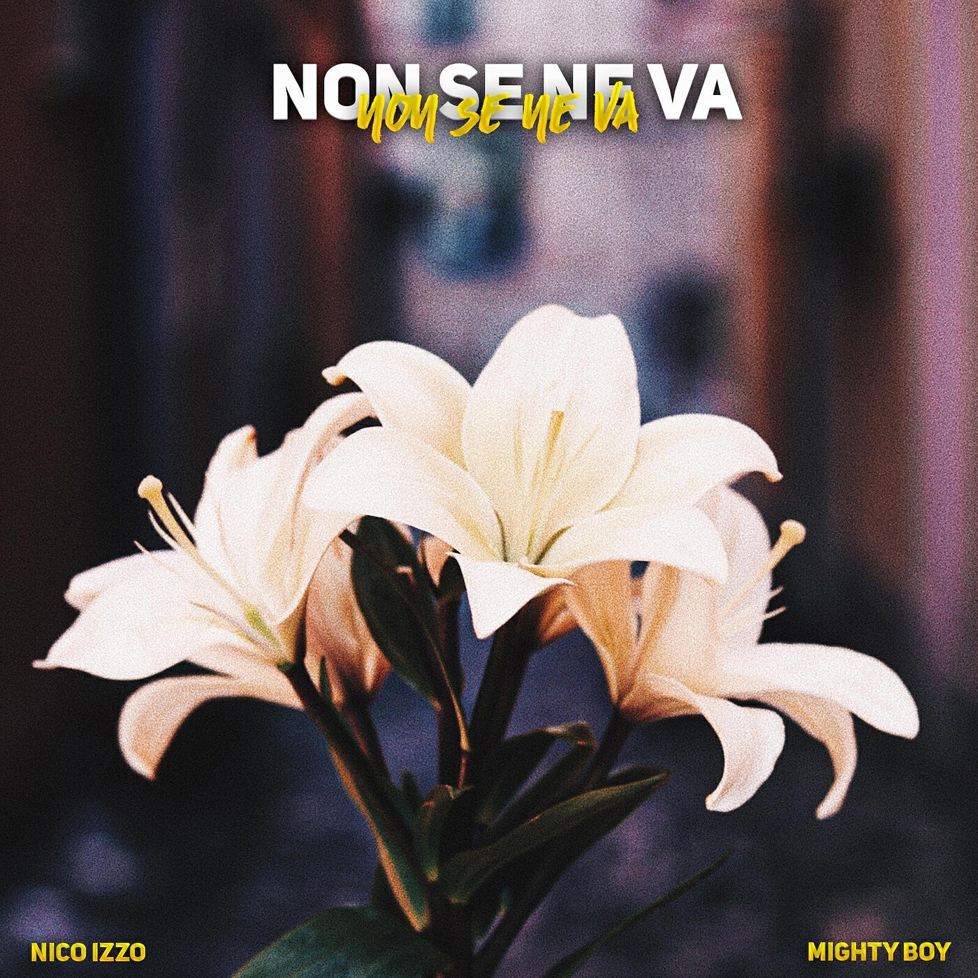 Nico Izzo - Non se ne va