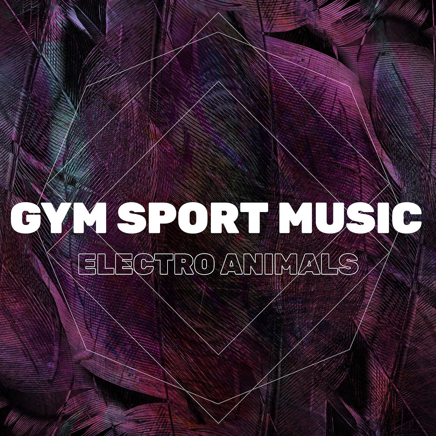 Постер альбома Gym Sport Music