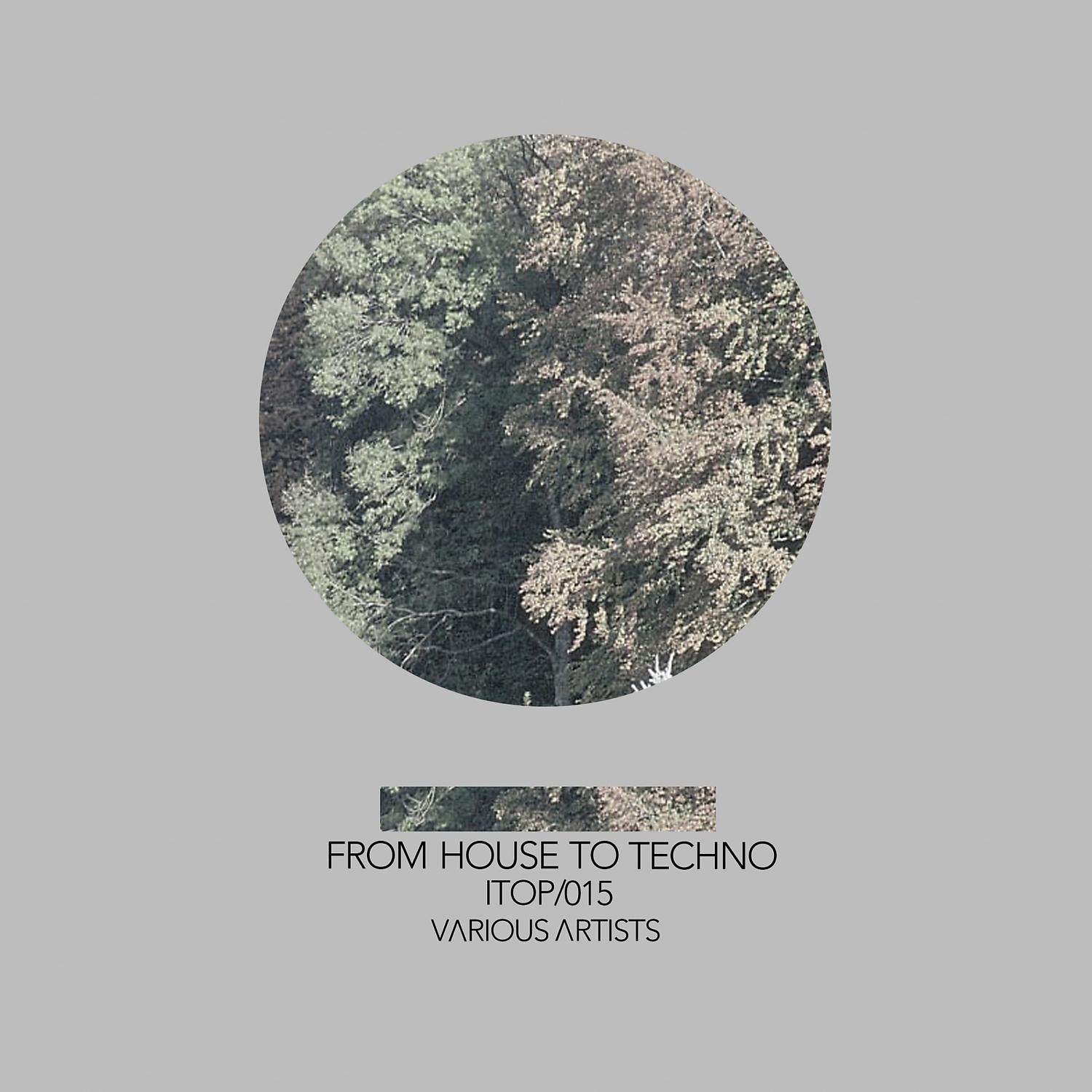 Постер альбома From House to Techno