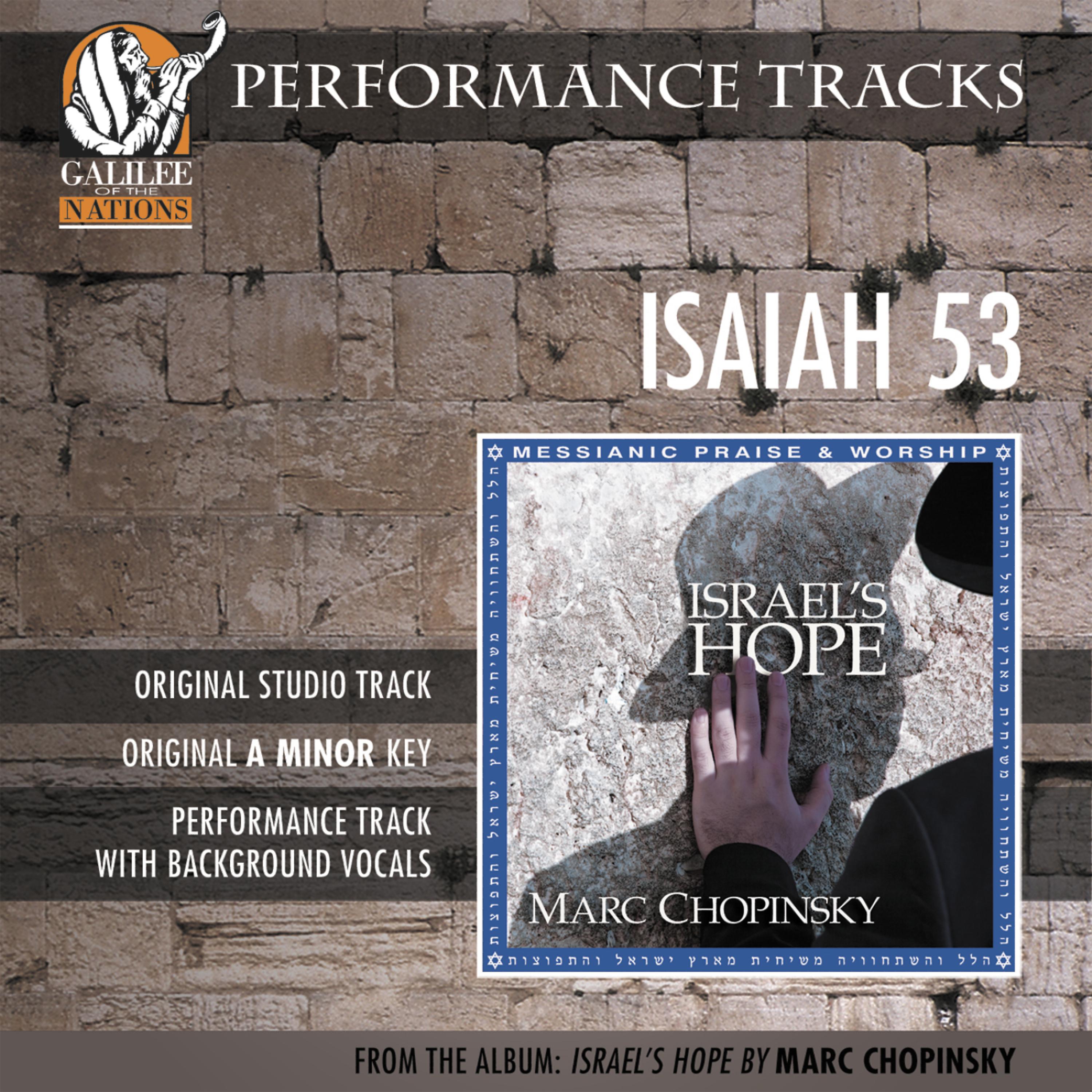 Постер альбома Isaiah 53 (Performance Track)