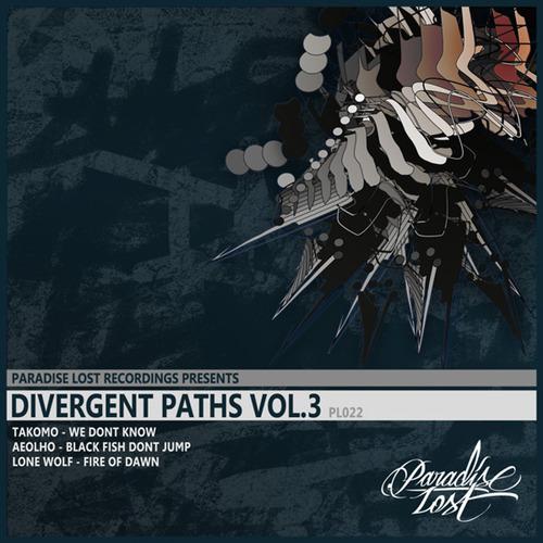 Постер альбома Divergent Paths Vol.3