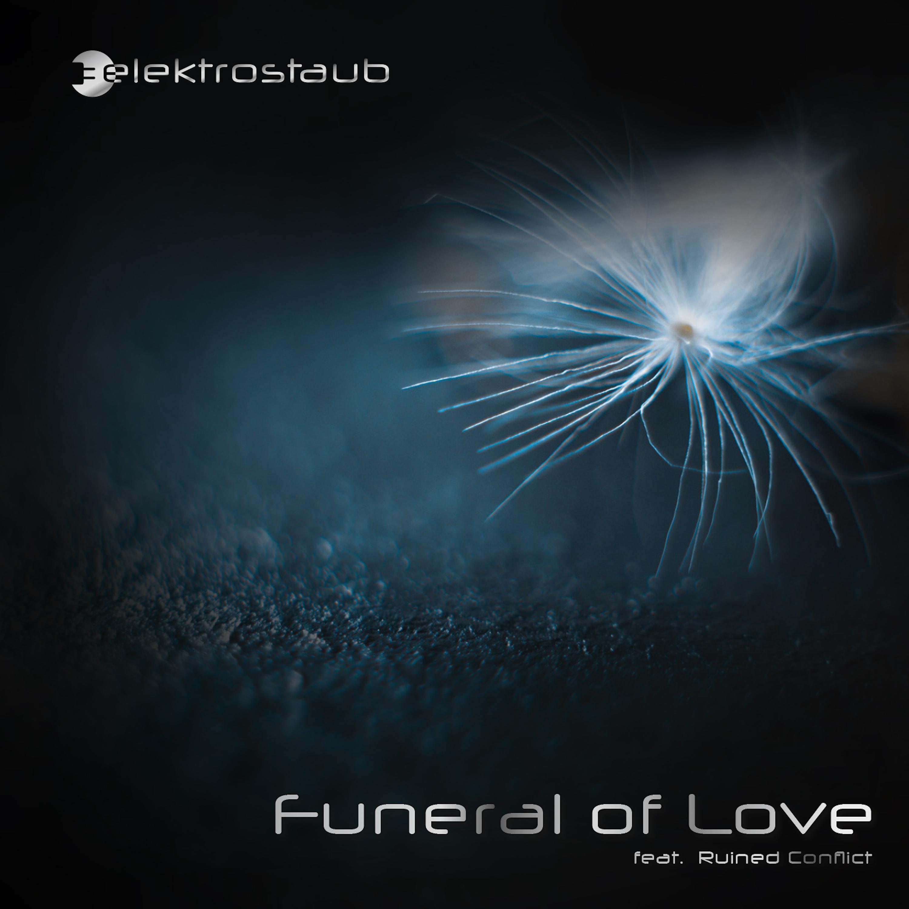 Постер альбома Funeral of Love