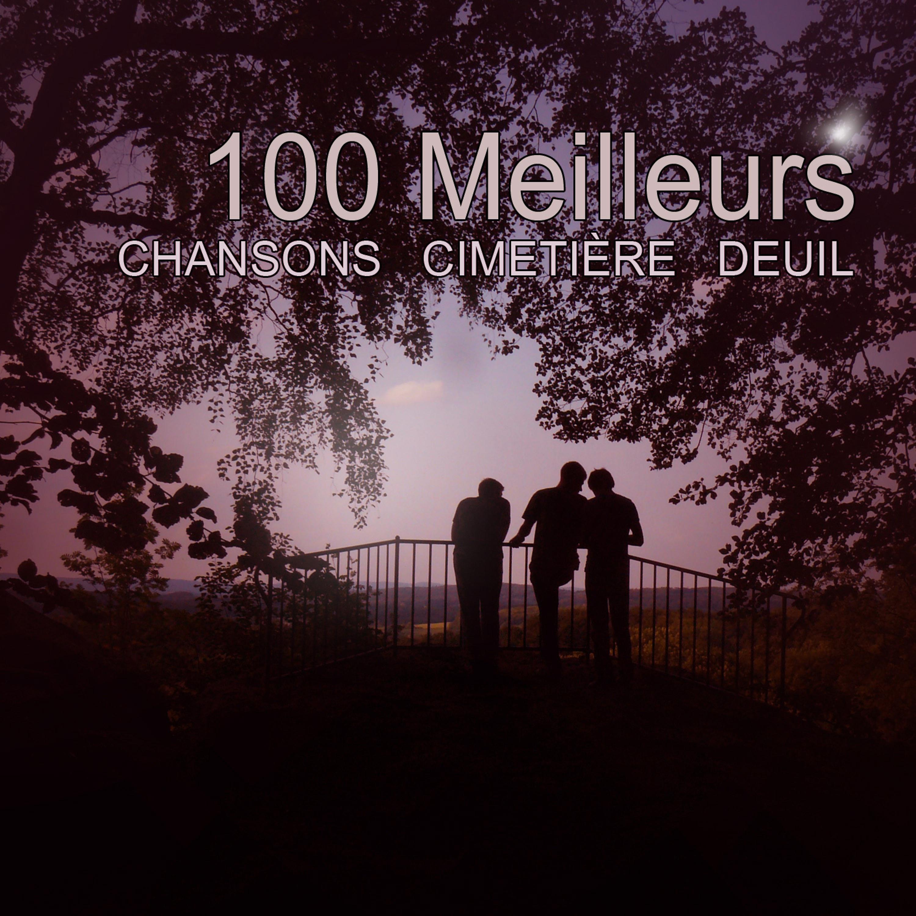 Постер альбома 100 Meilleurs Chansons Cimetière Deuil