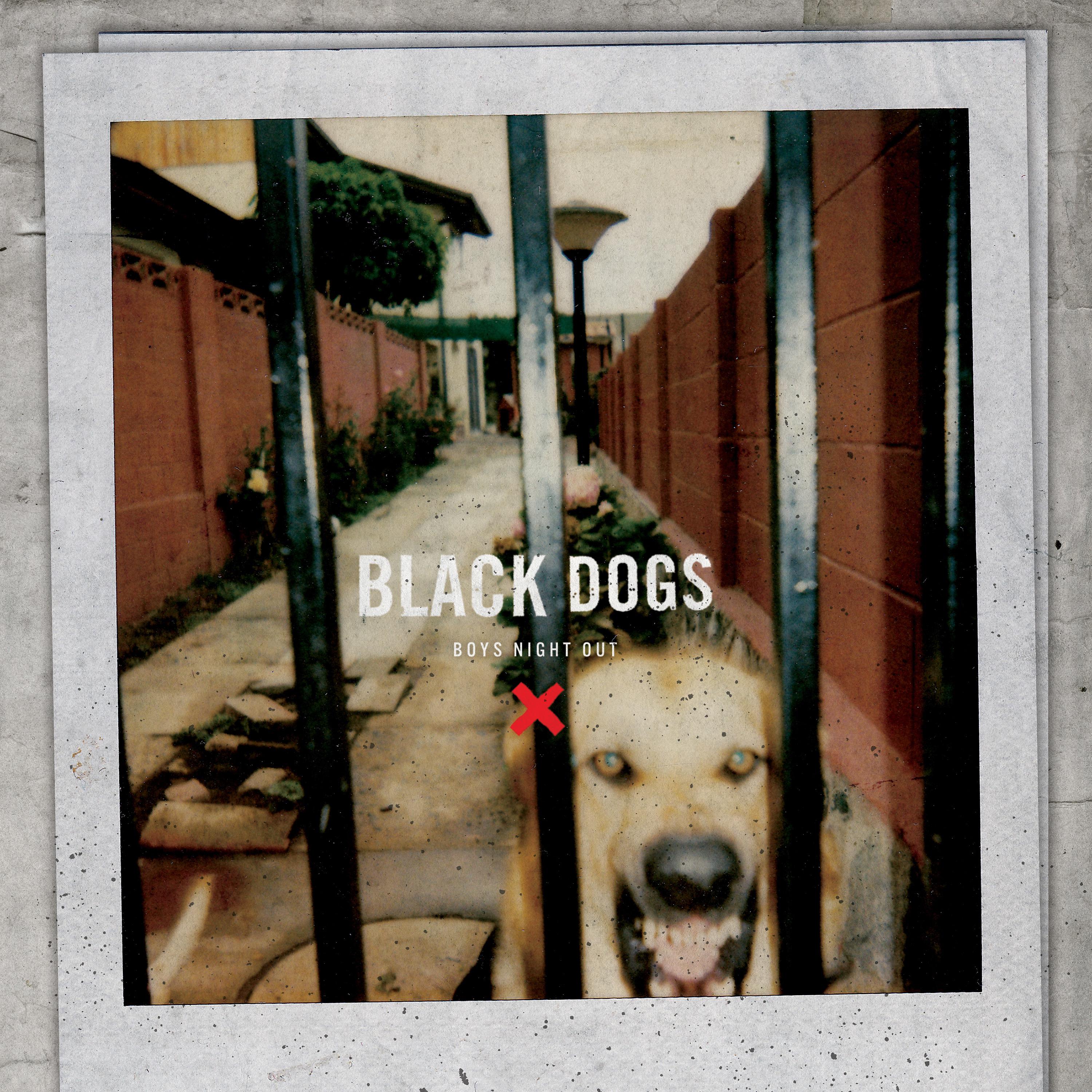 Постер альбома Black Dogs