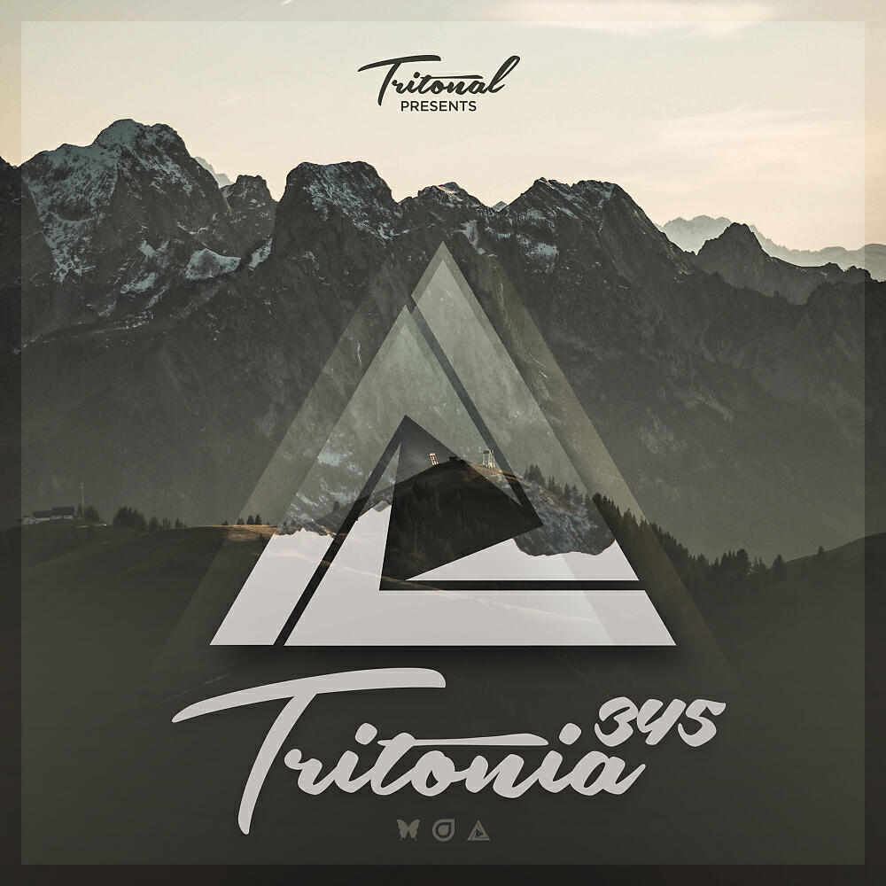 Boxer - Sun Kissed (Tritonia 345)