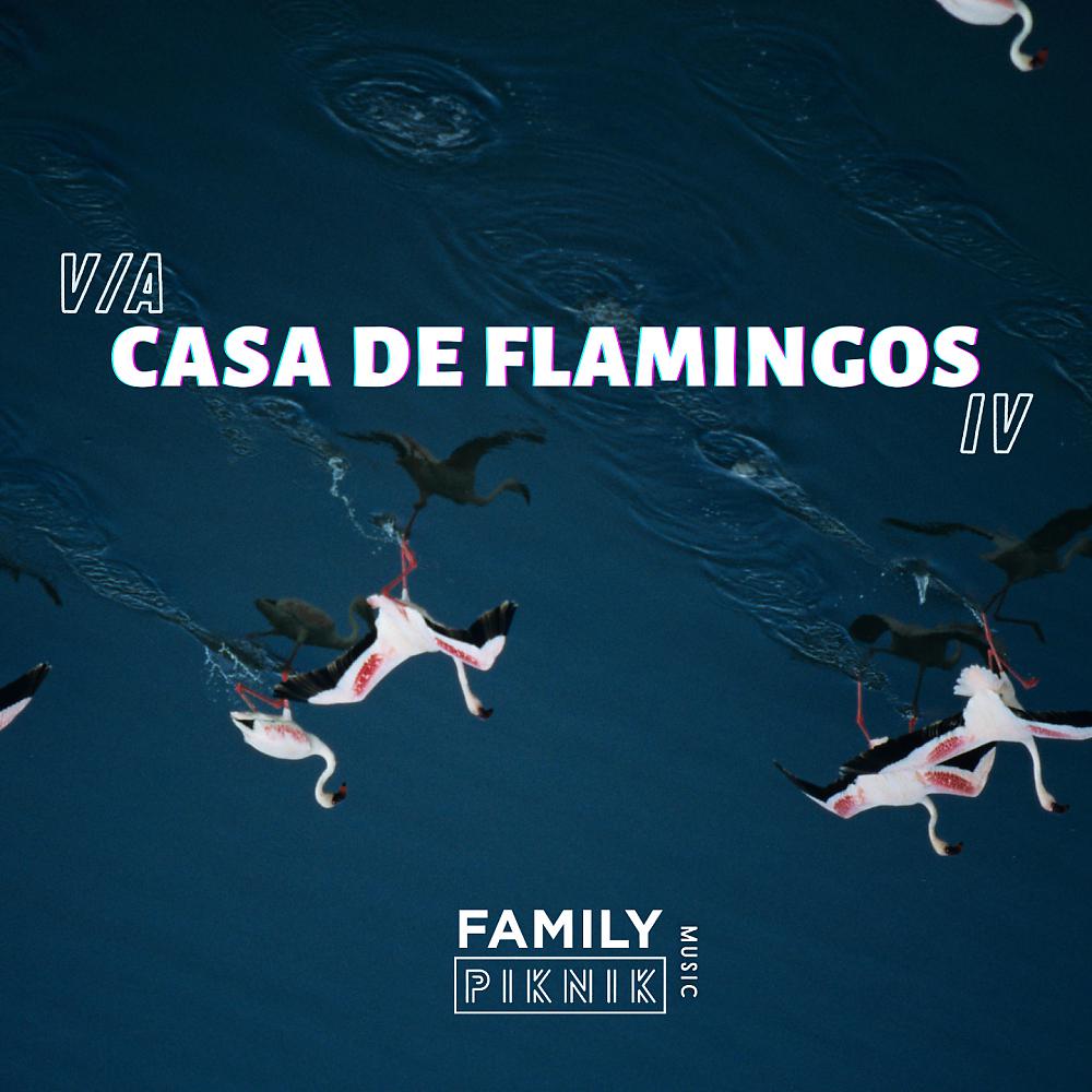 Постер альбома Casa de Flamingos IV