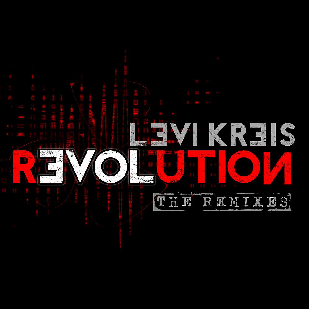 Постер альбома Love Revolution (The Remixes)