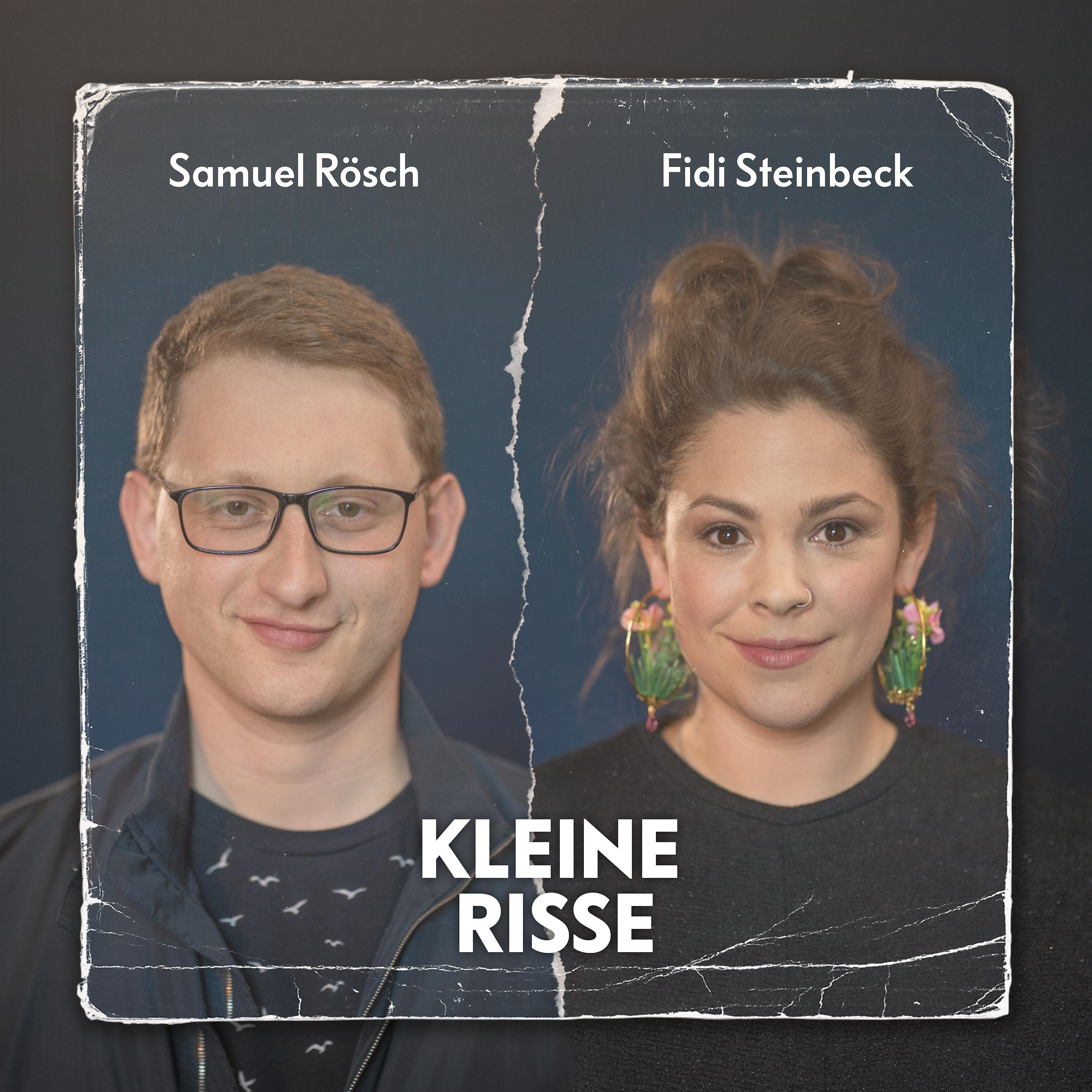 Постер альбома Kleine Risse