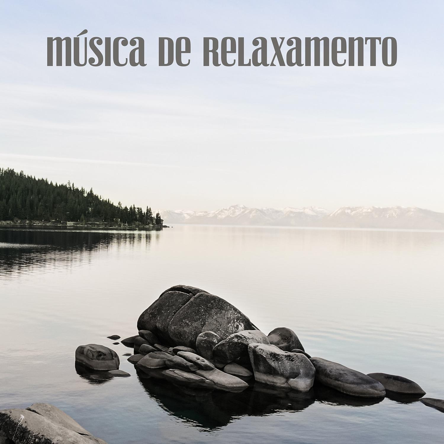 Постер альбома Música de Relaxamento