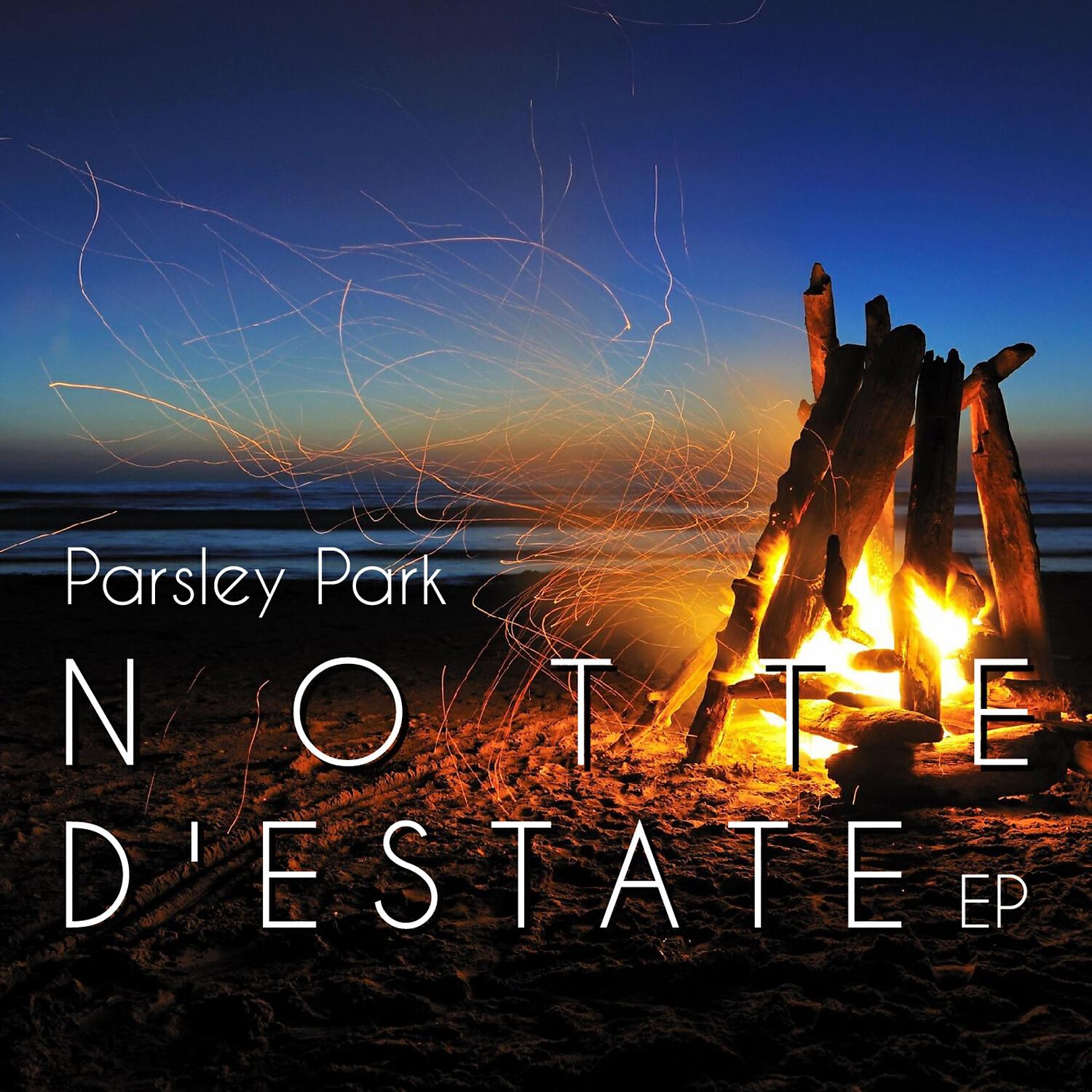 Parsley Park - Notte D'estate (Dj Maxwell Star Mix Radio)
