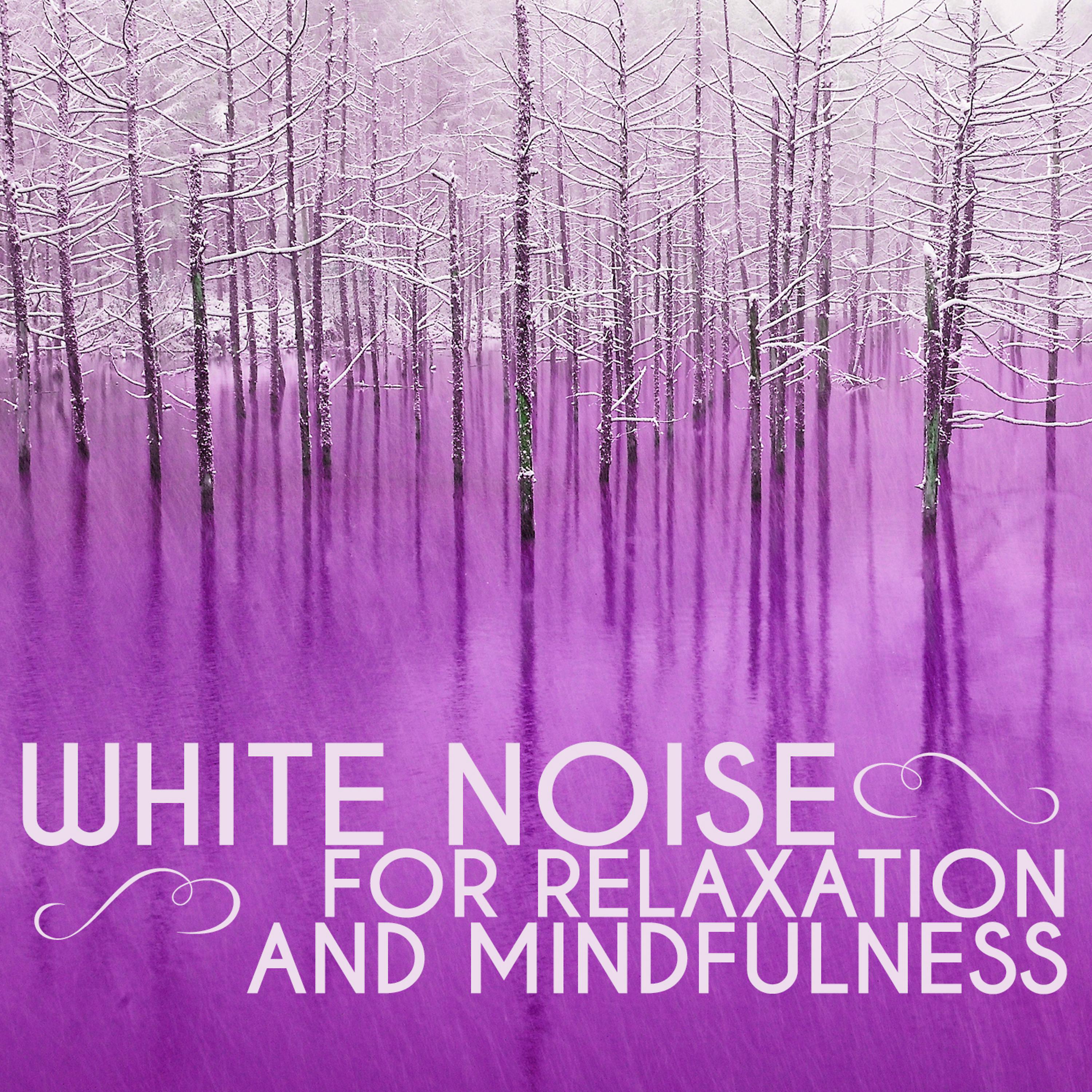 Постер альбома White Noise for Relaxation and Mindfulness