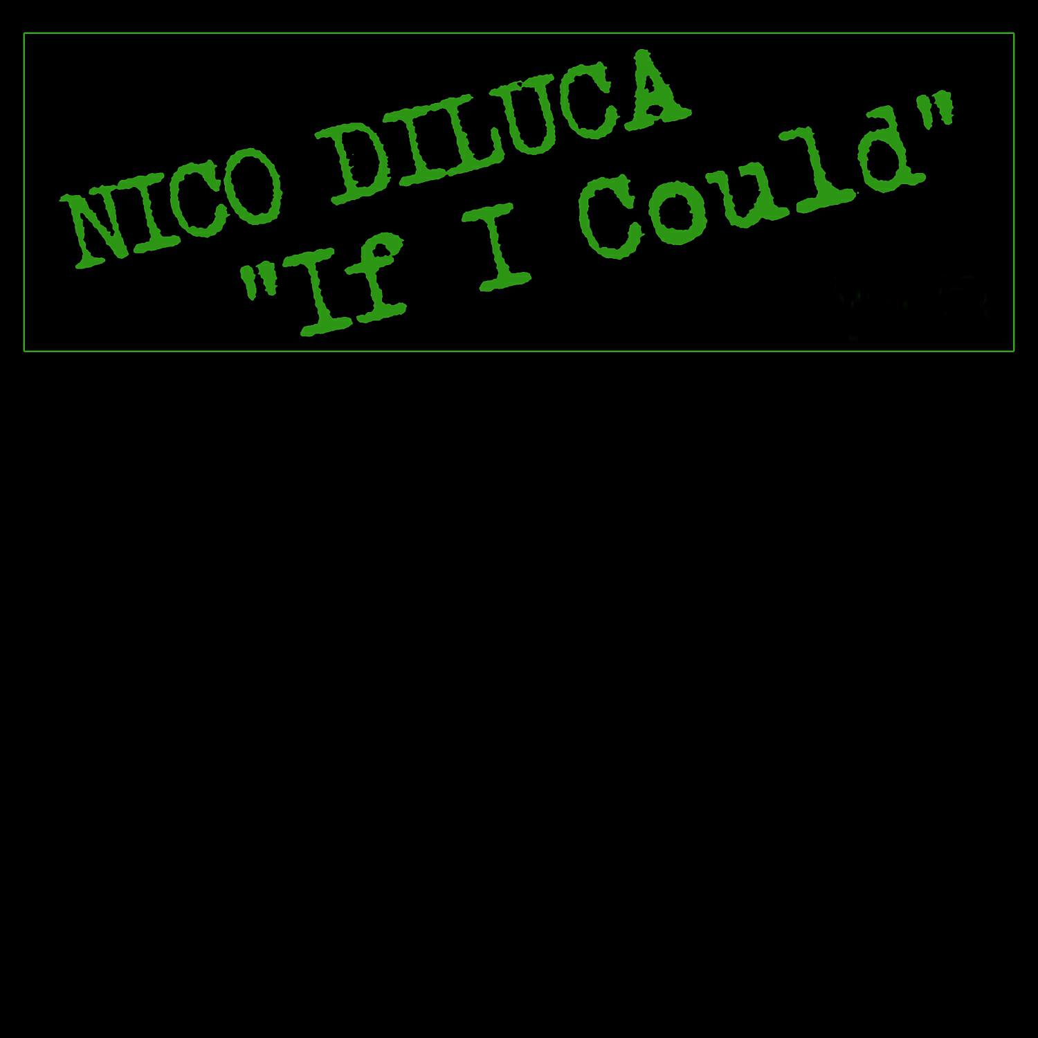 Nico Diluca - If I Could (Nico Diluca & Chris Nasty Mix)