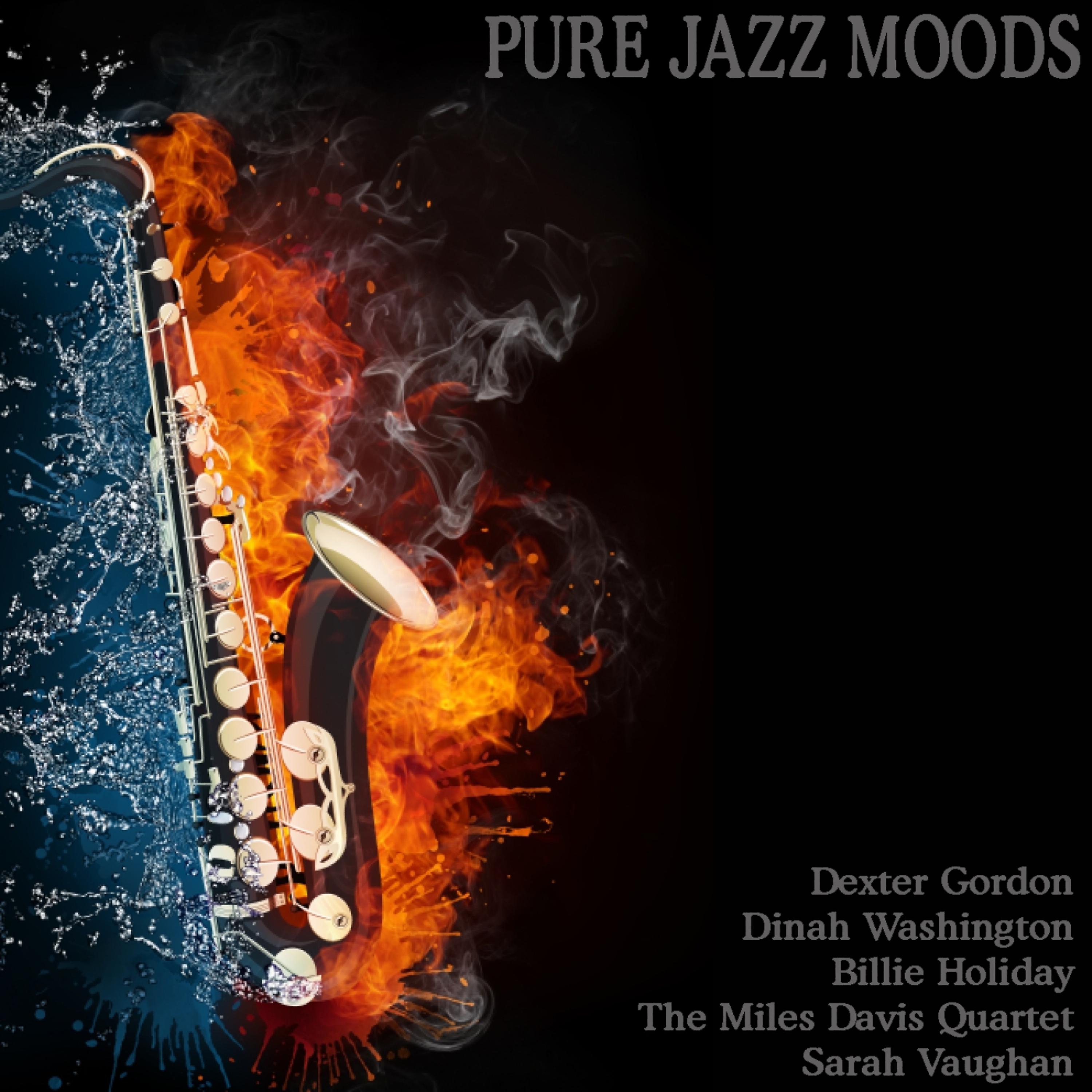 Постер альбома Pure Jazz Moods