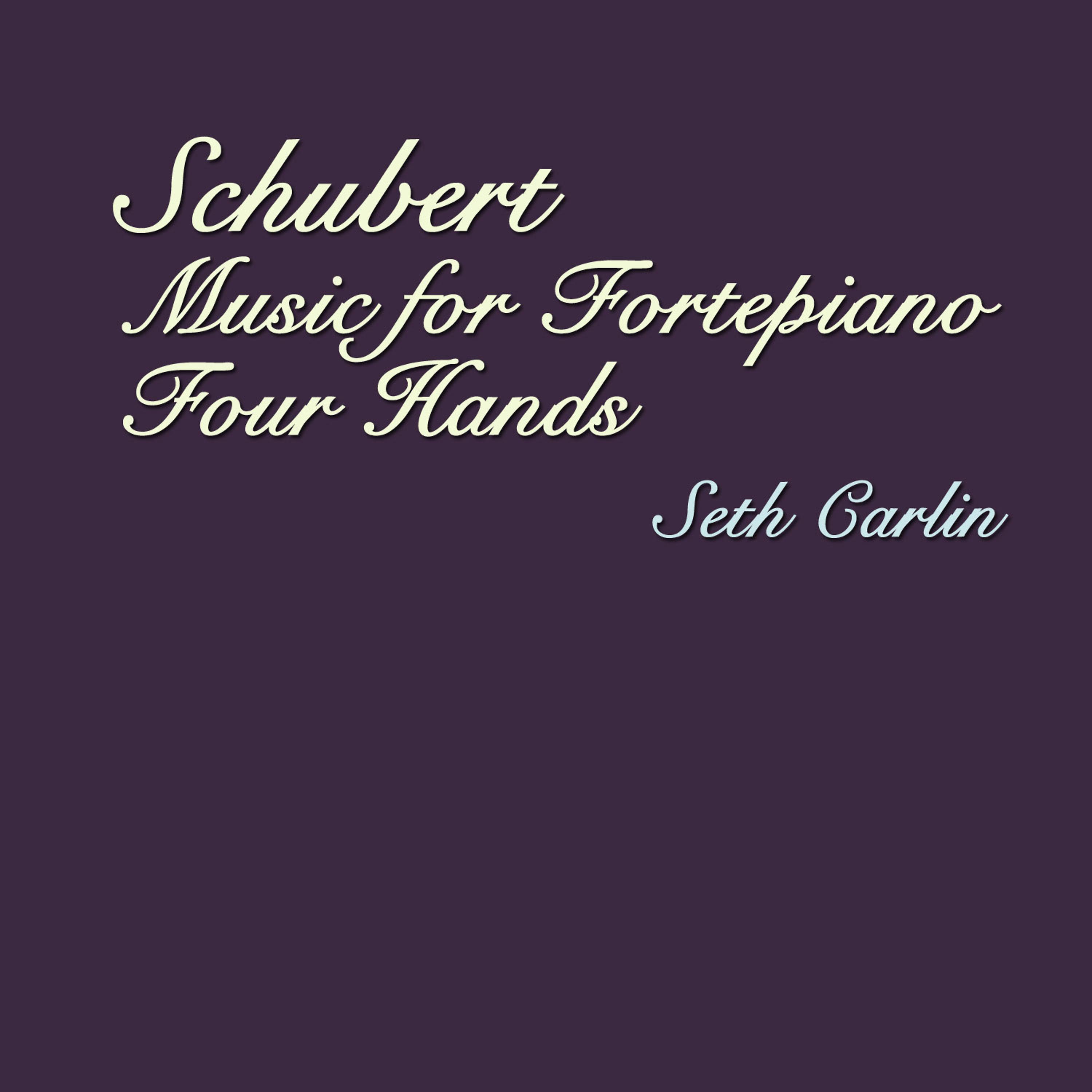 Постер альбома Schubert - Music for fortepiano four hands