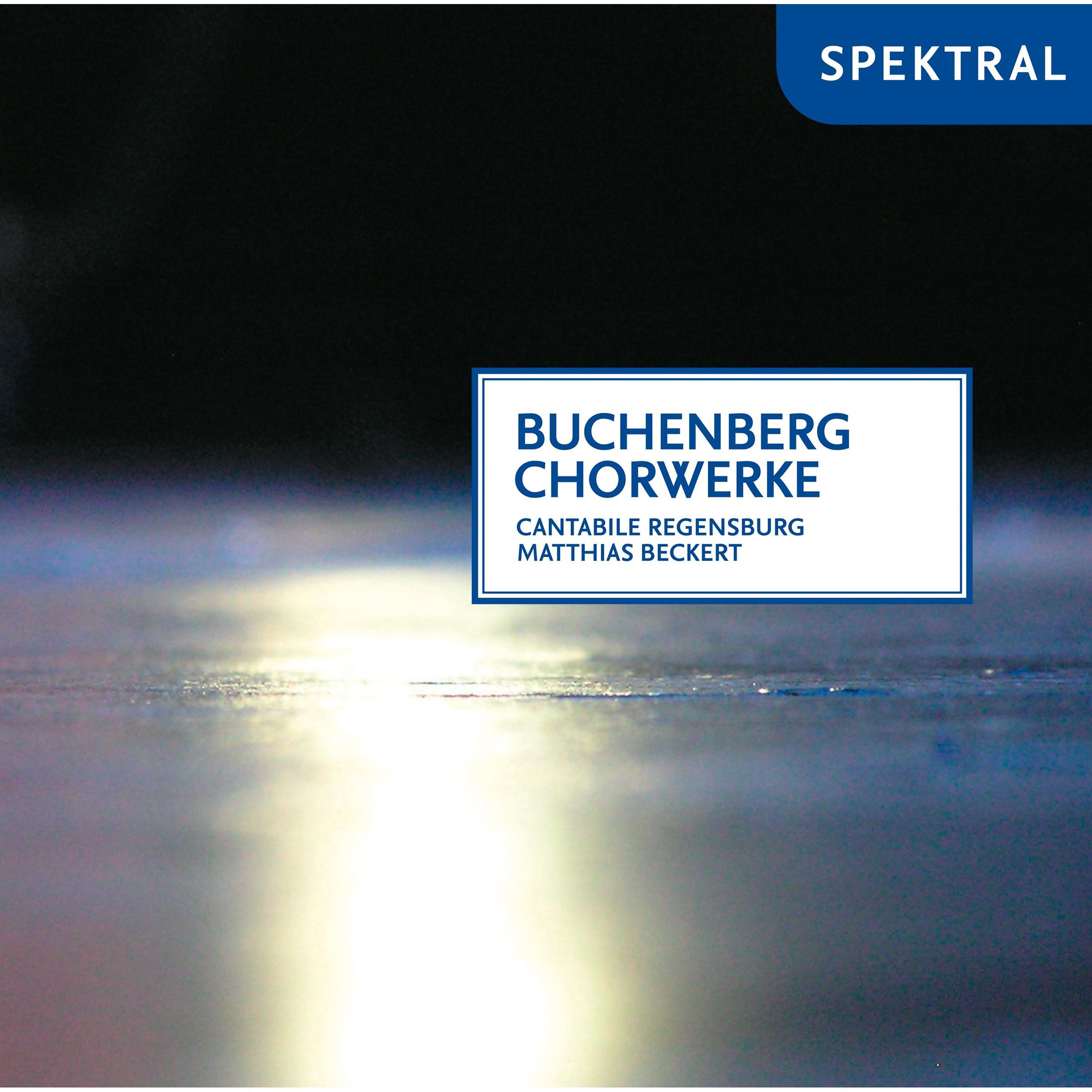 Постер альбома Buchenberg Chorwerke
