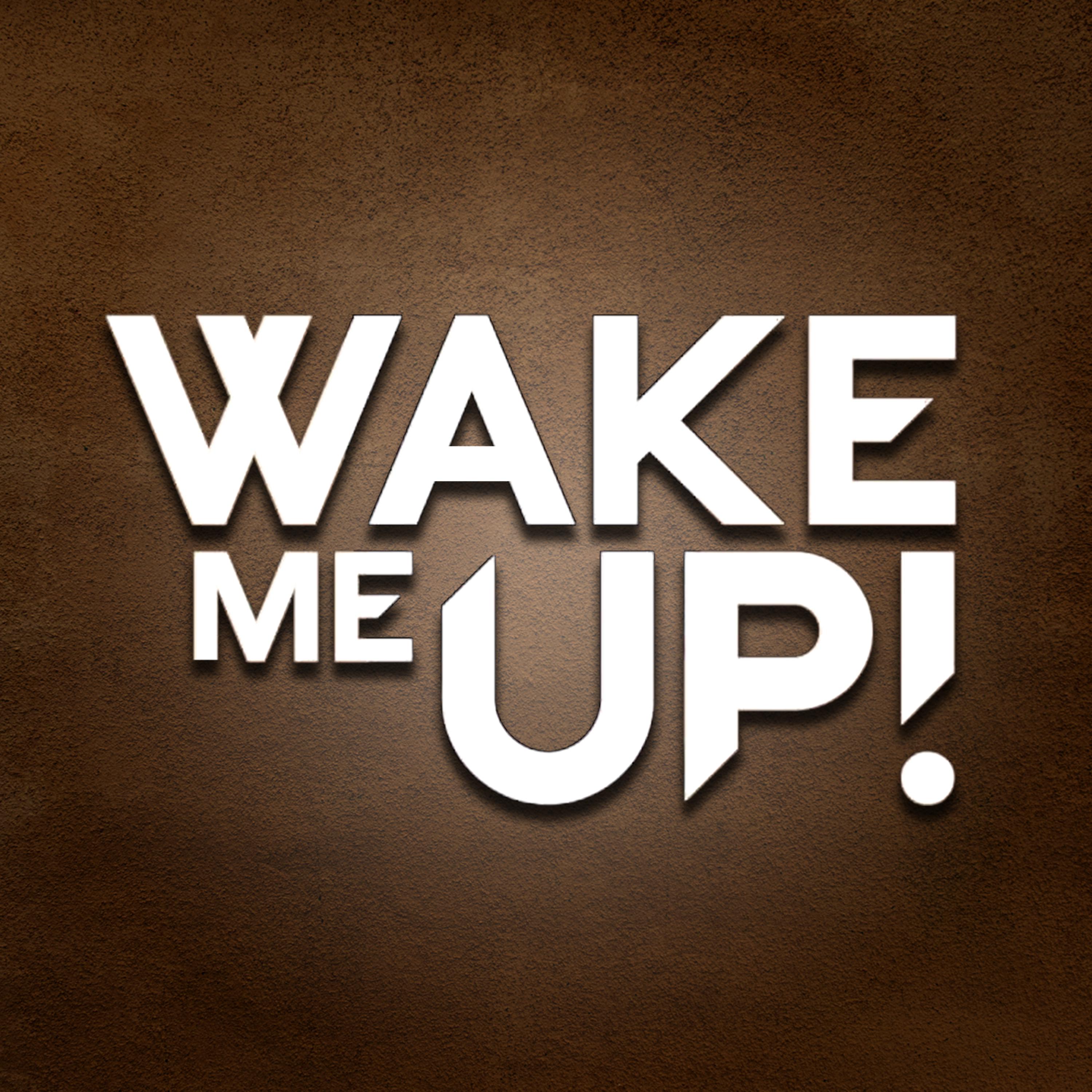 Постер альбома Wake Me Up!