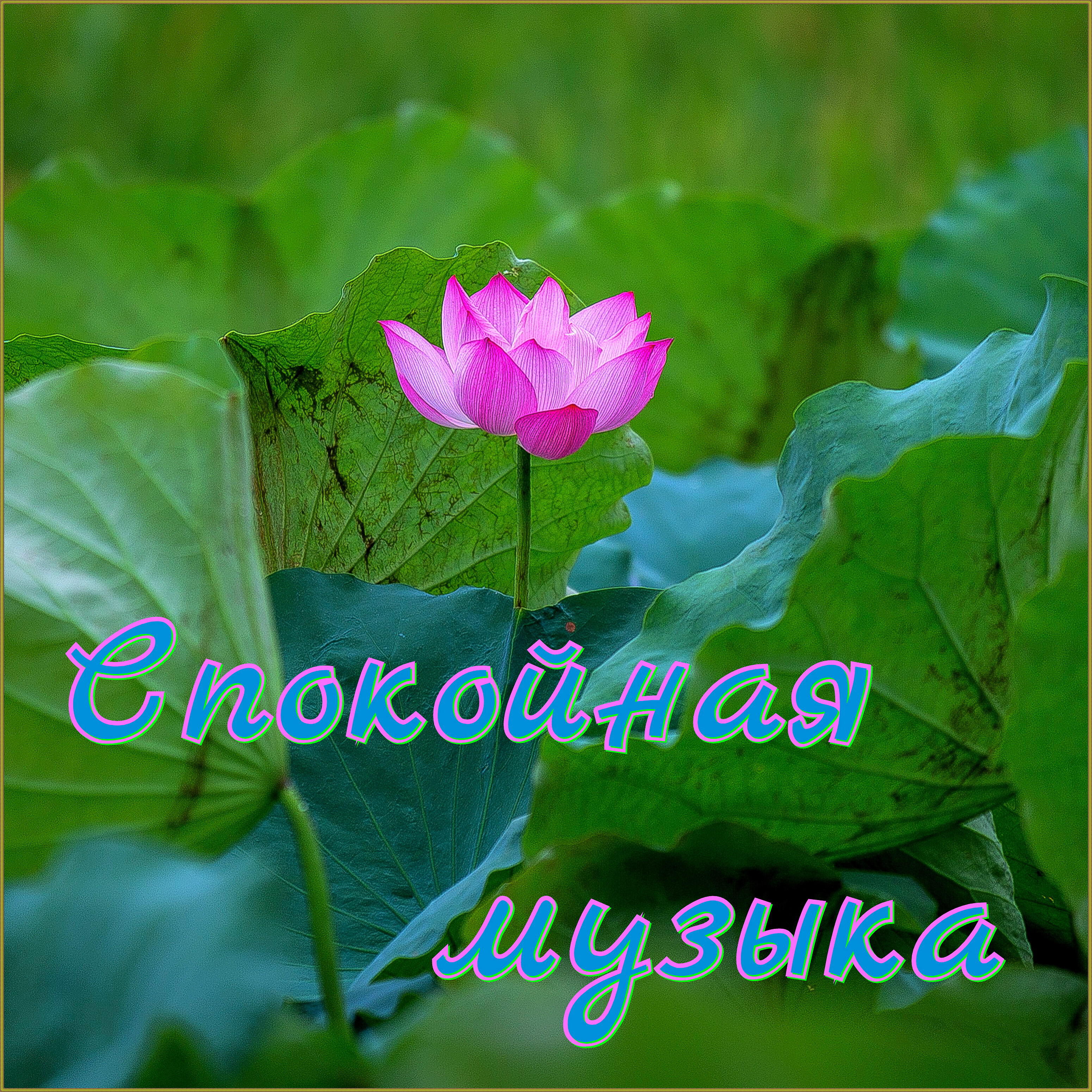 Александр Кэтлин - Зимний вальс