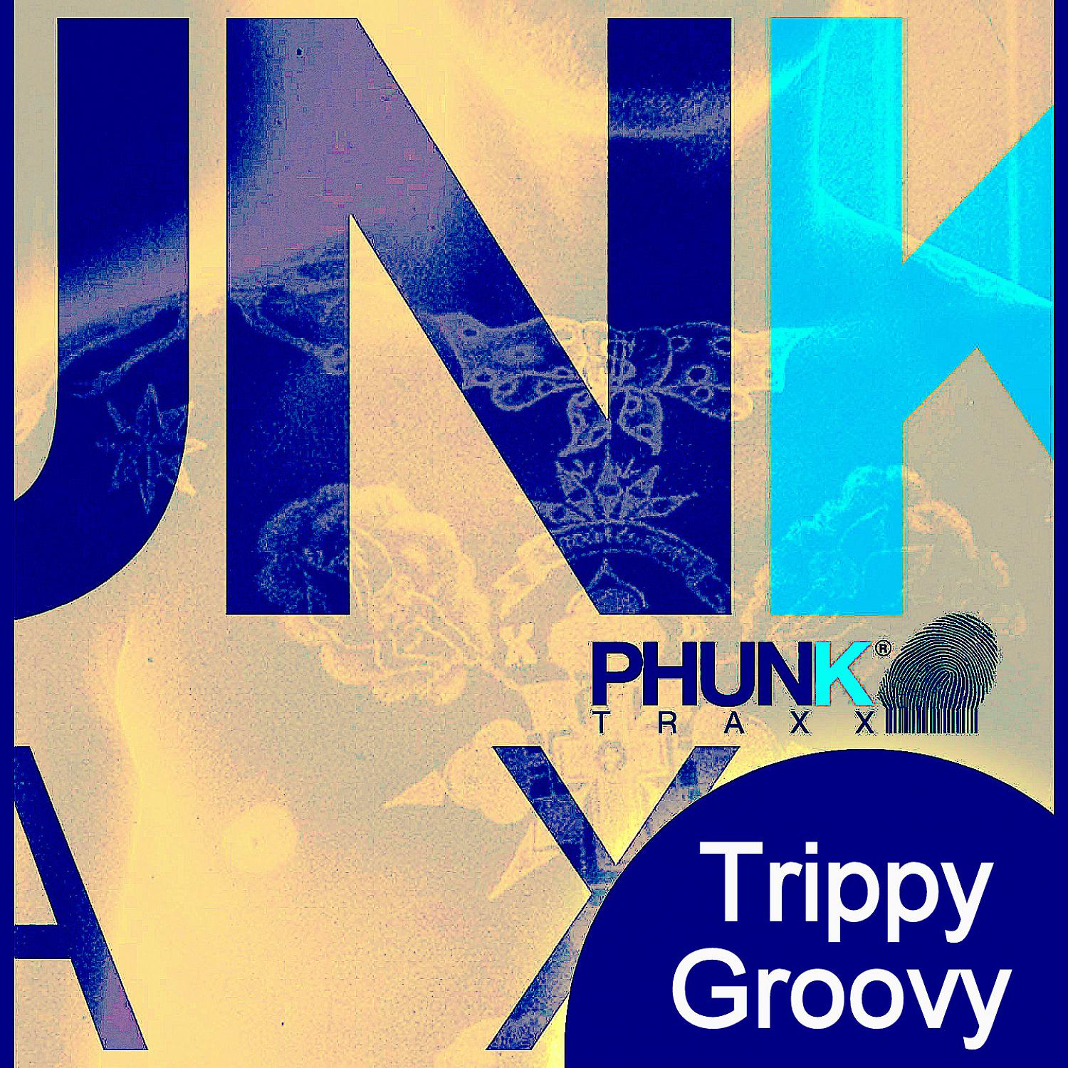 Постер альбома Trippy Groovy