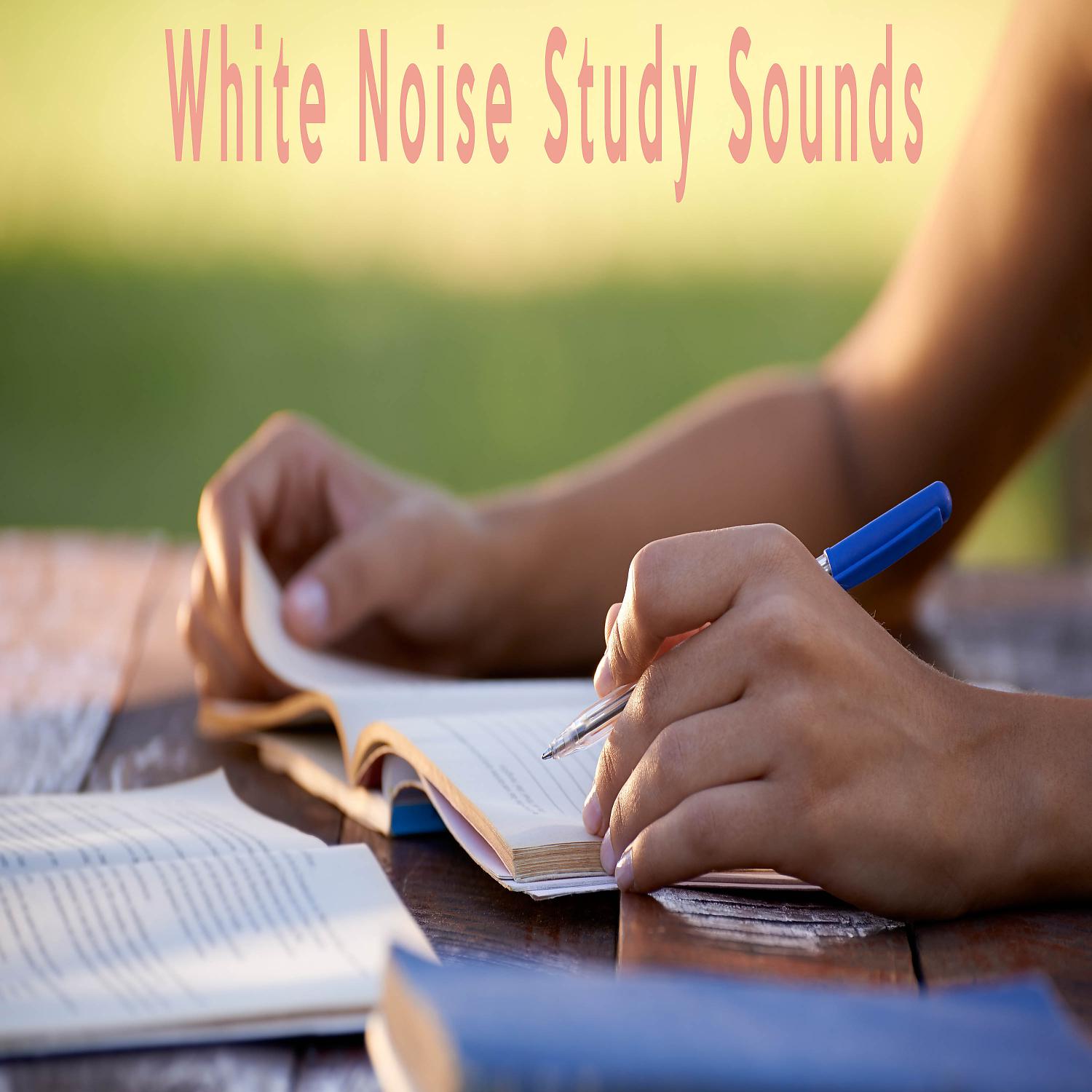 White Noise Therapeutics - White Noise Anacraphobe