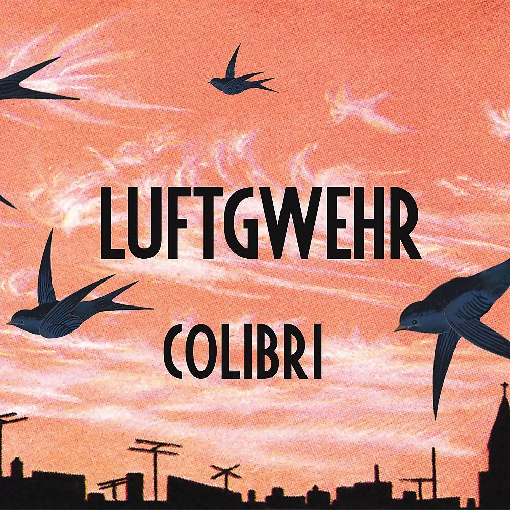 Постер альбома Luftgwehr