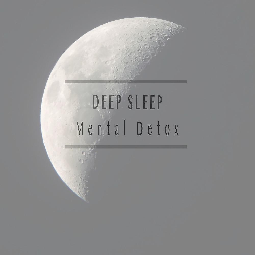 Постер альбома Mental Detox