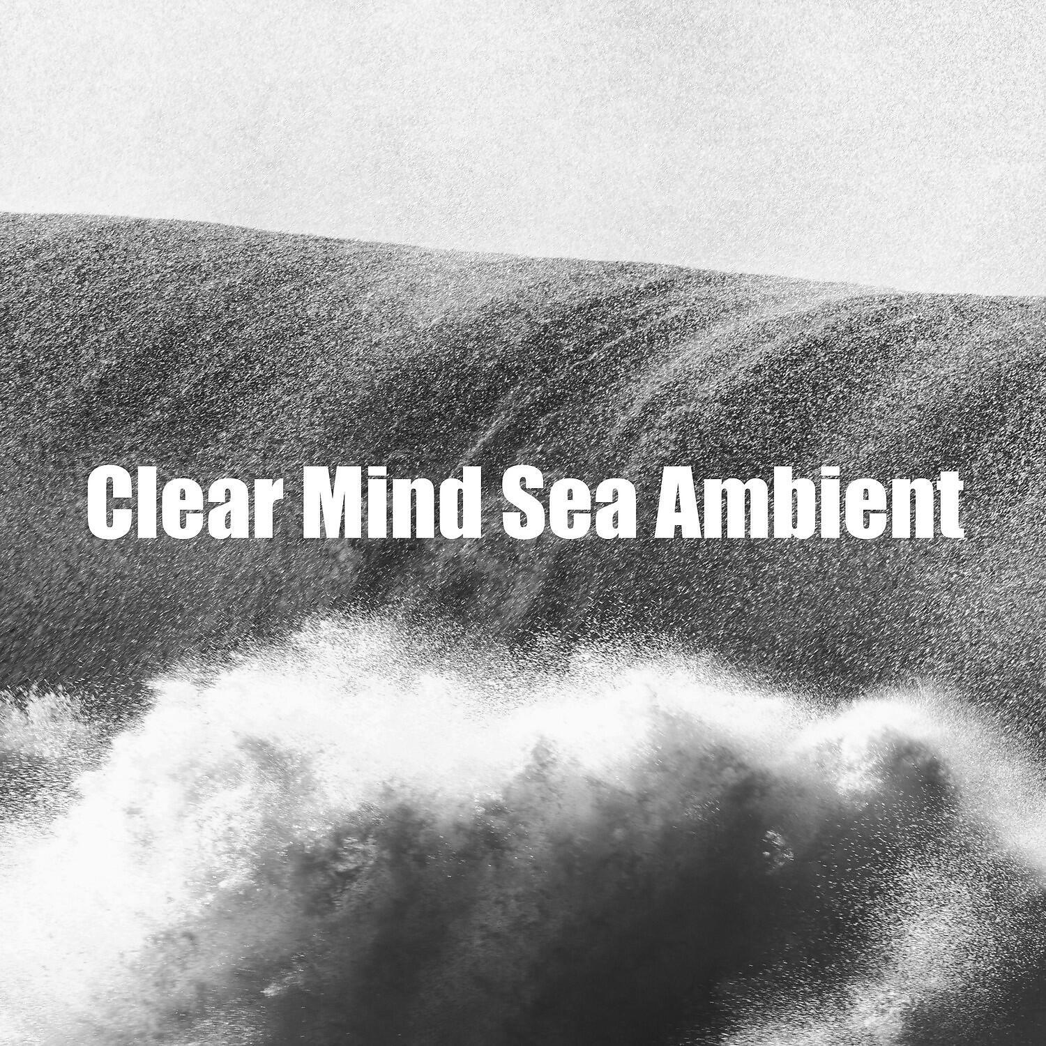 Shushing Water of the Sea - Clear Mind Sea Ambient